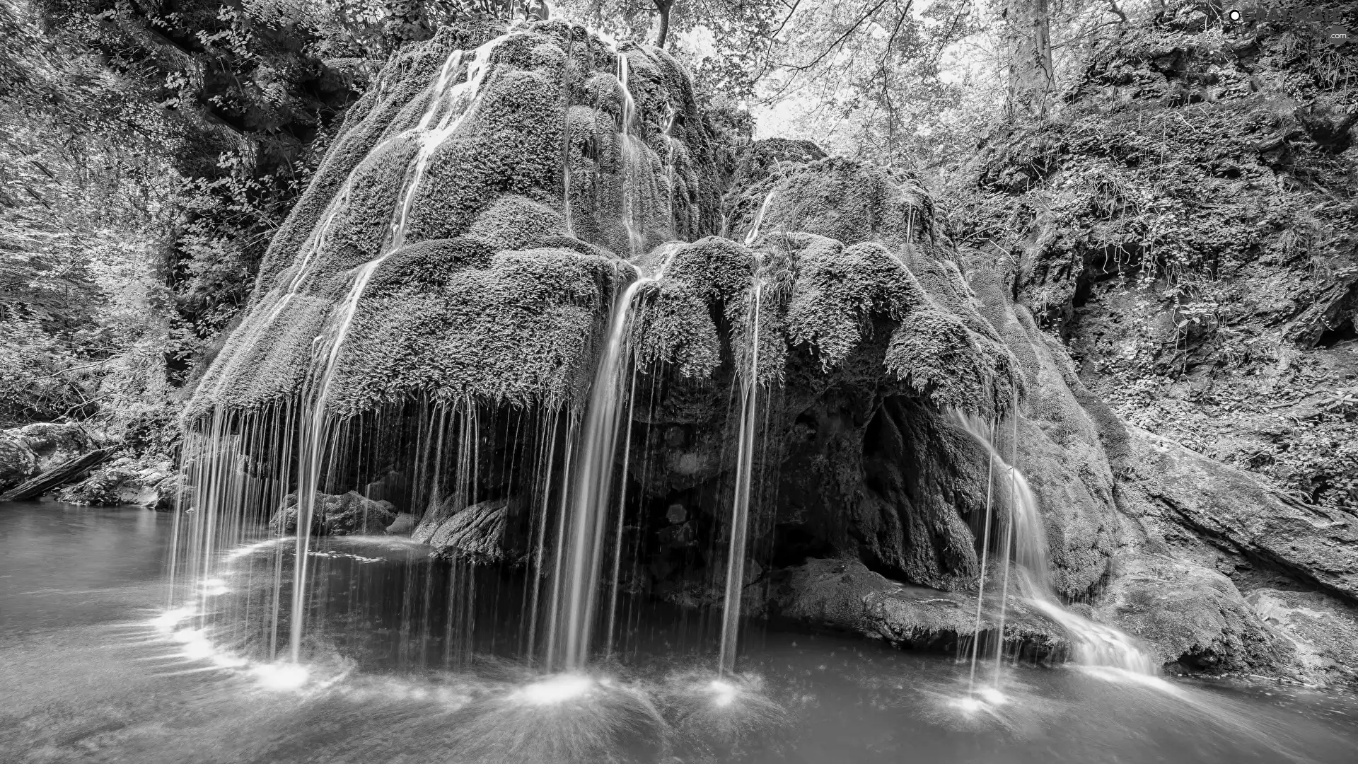 Rocks, waterfall, viewes, VEGETATION, trees, Mossy