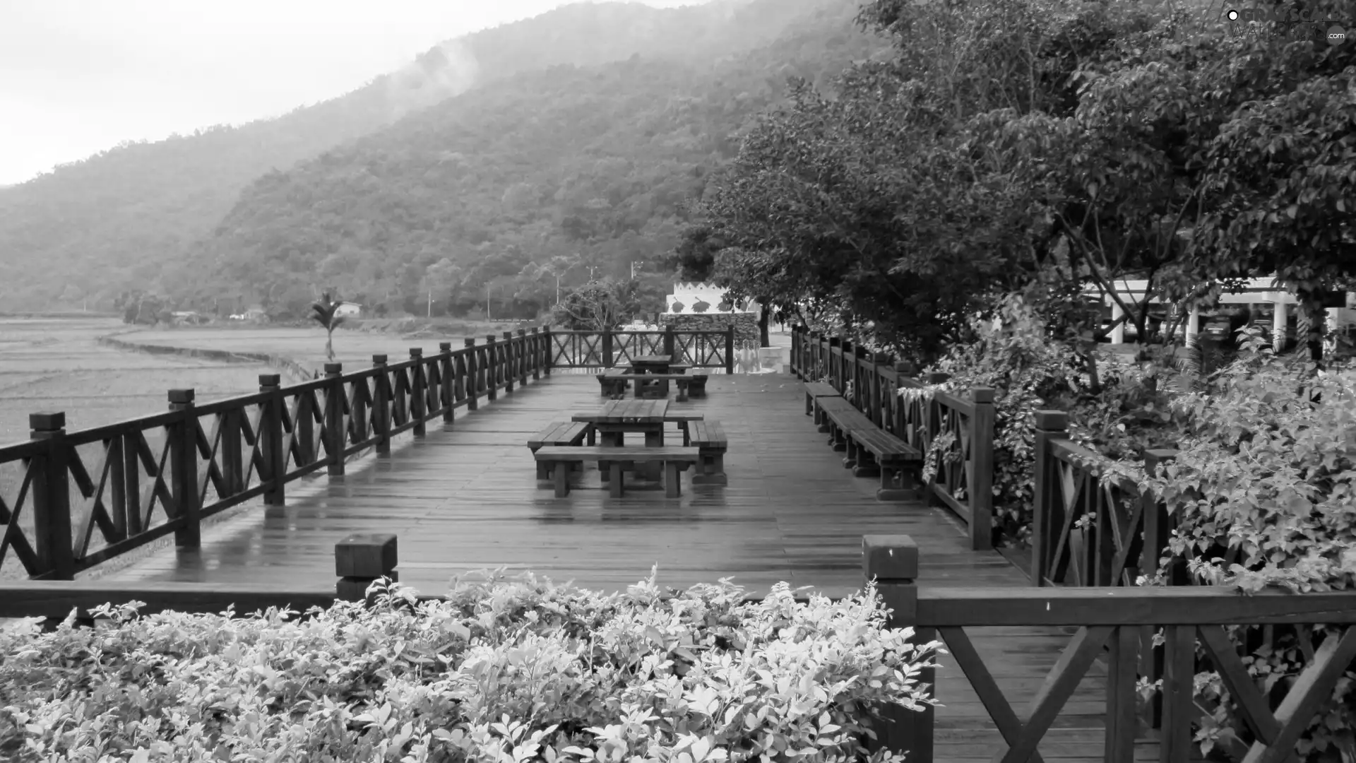 Mountains, lookout, VEGETATION, platform