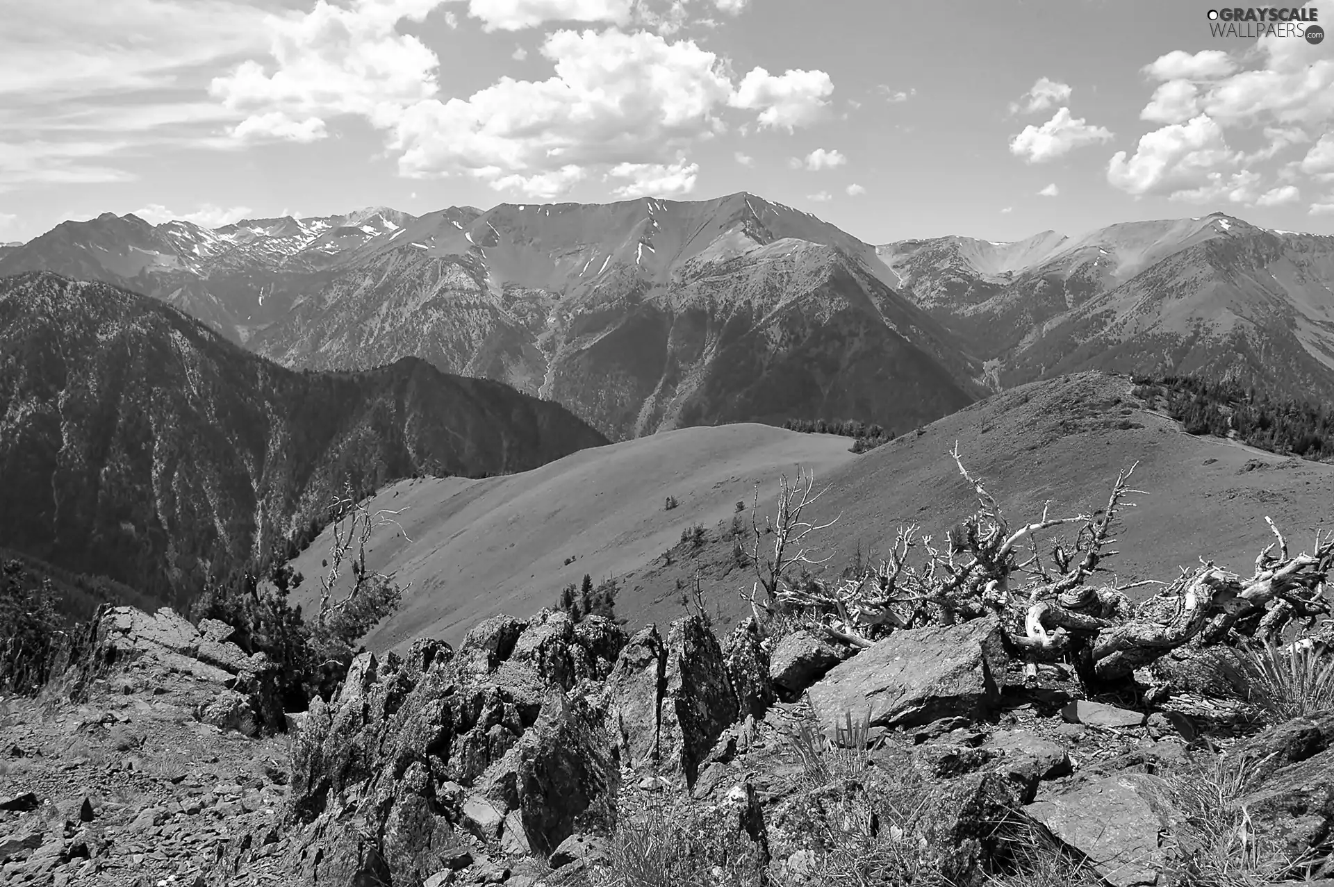 medows, summer, VEGETATION, Oregon, boulders, Mountains