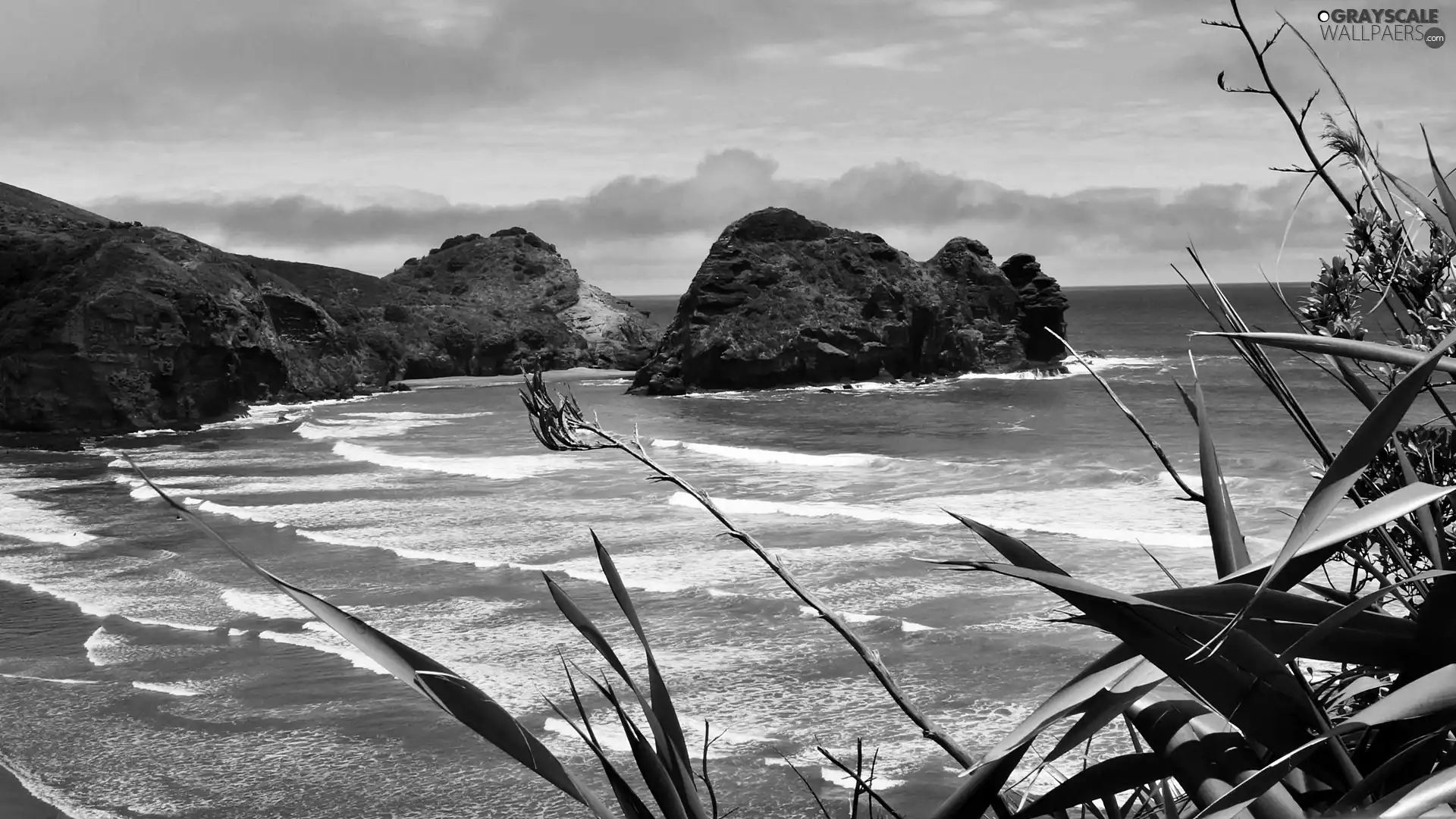 flash, rocks, Przebijające, Piha, ligh, sea, VEGETATION, Beach, luminosity, sun