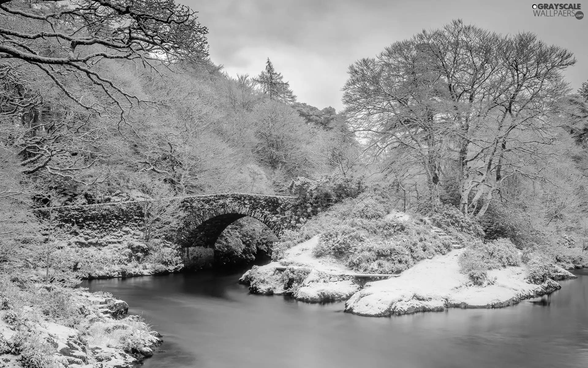 bridge, winter, viewes, VEGETATION, trees, River