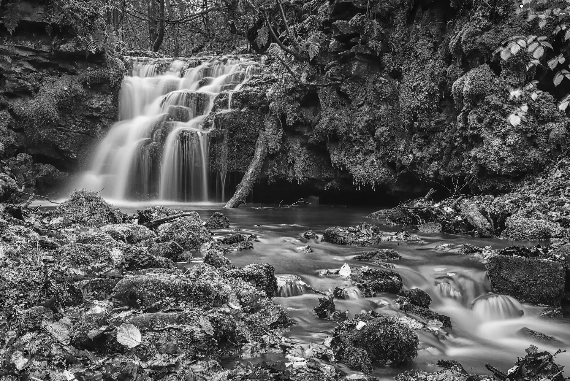 Stones, VEGETATION, River, mossy, waterfall
