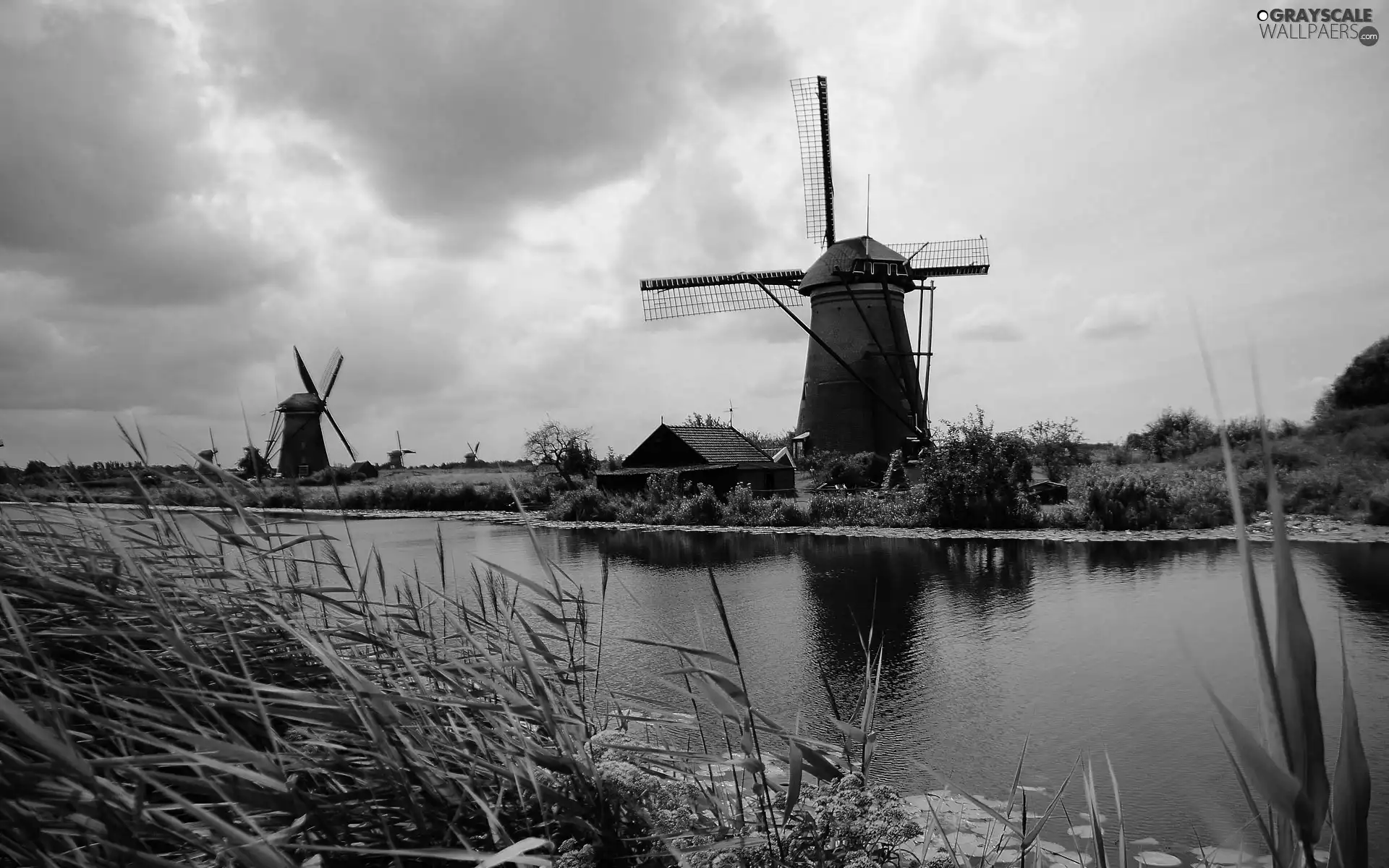 VEGETATION, Windmills, River