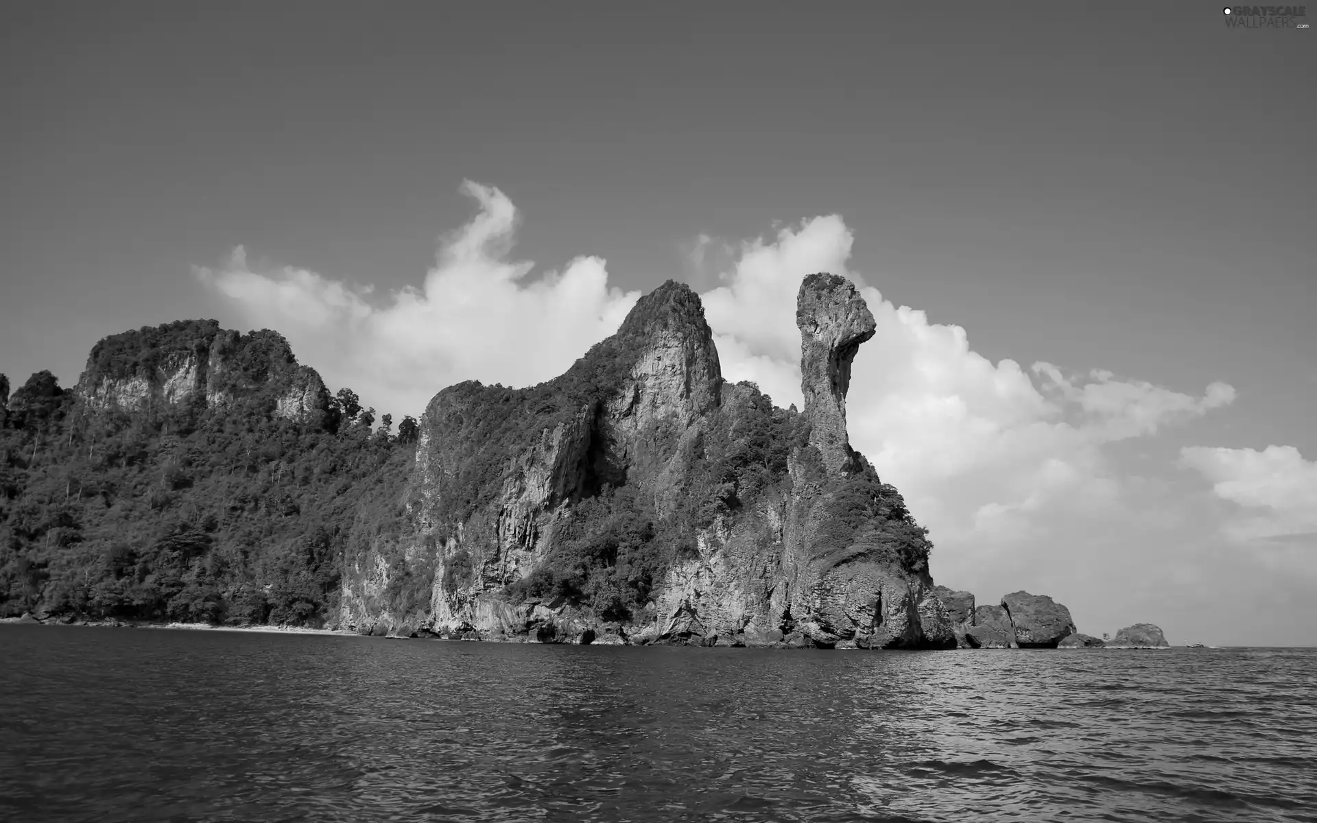 VEGETATION, sea, rocks