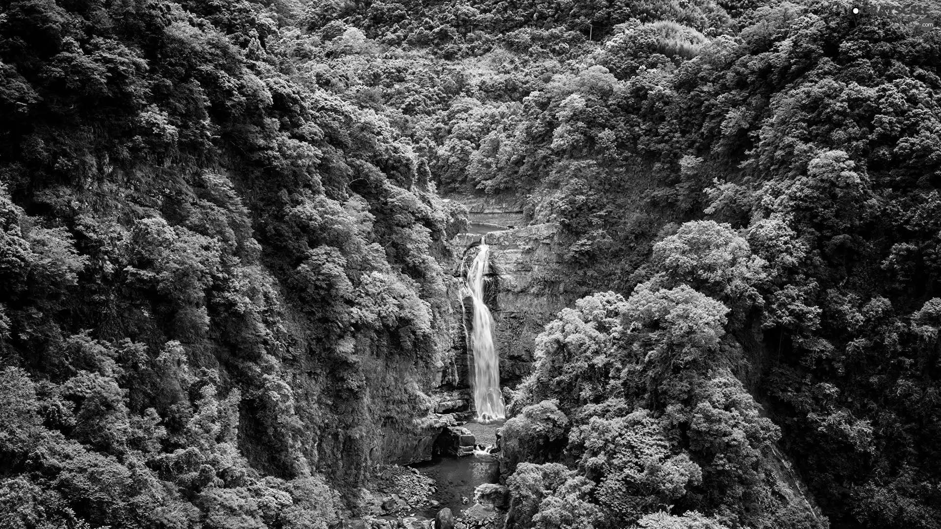 forest, waterfall, viewes, VEGETATION, trees, rocks