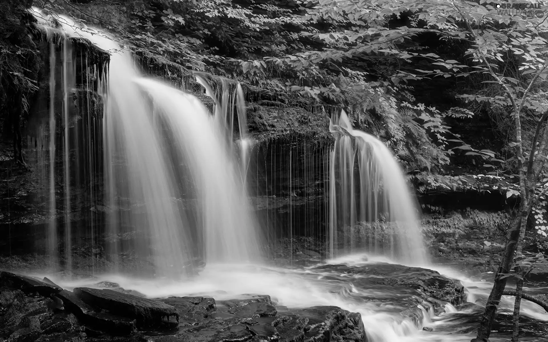 Stones, waterfall, viewes, VEGETATION, trees, Rocks