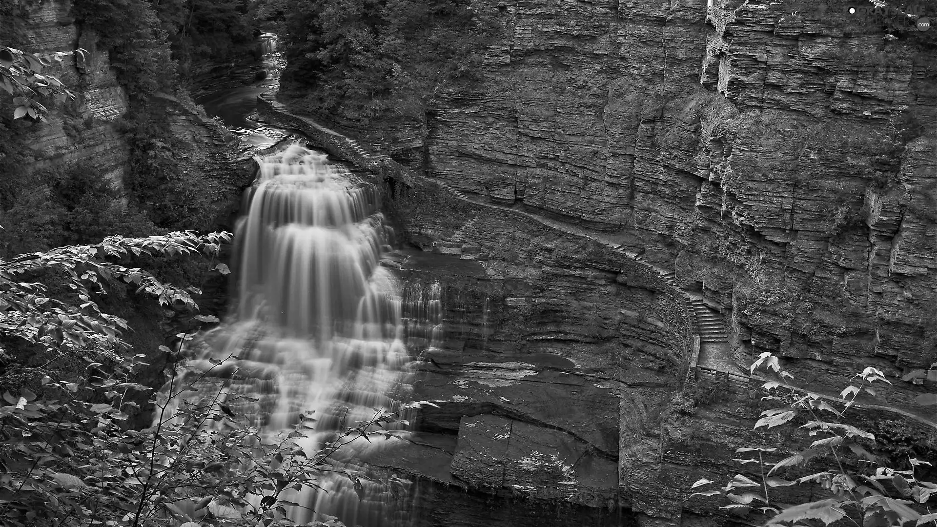 VEGETATION, waterfall, rocks