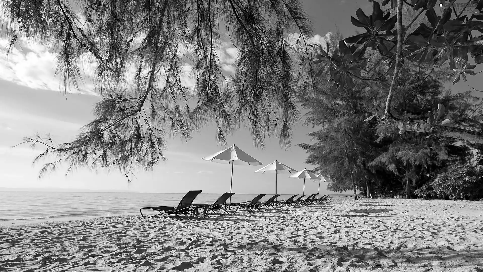 deck chair, sea, holiday, Beaches, Thailand, VEGETATION, Sunshade