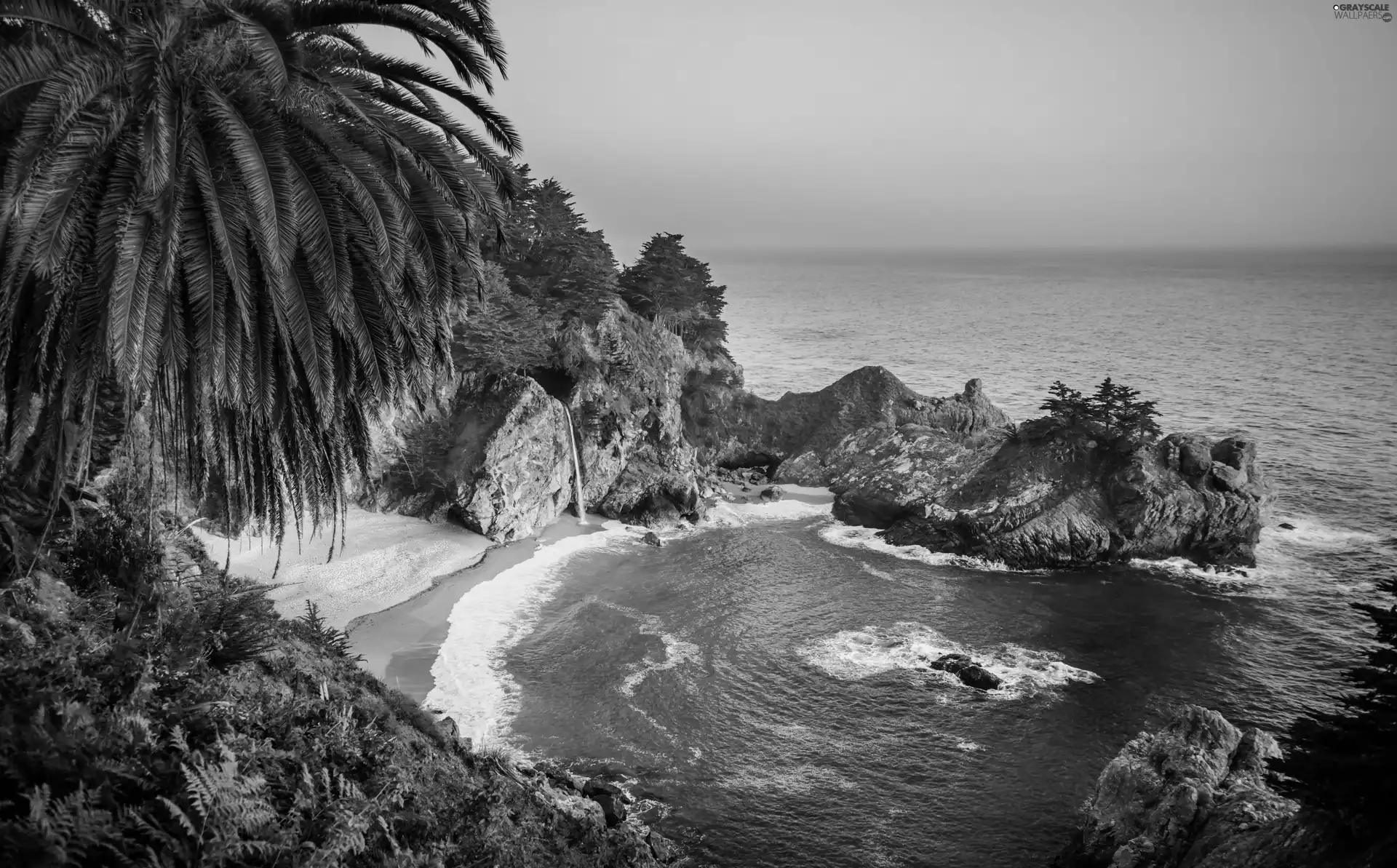 sea, Gulf, VEGETATION, rocks