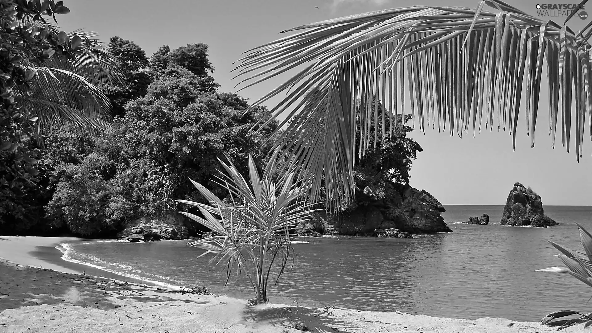 sea, rocks, VEGETATION, Beaches