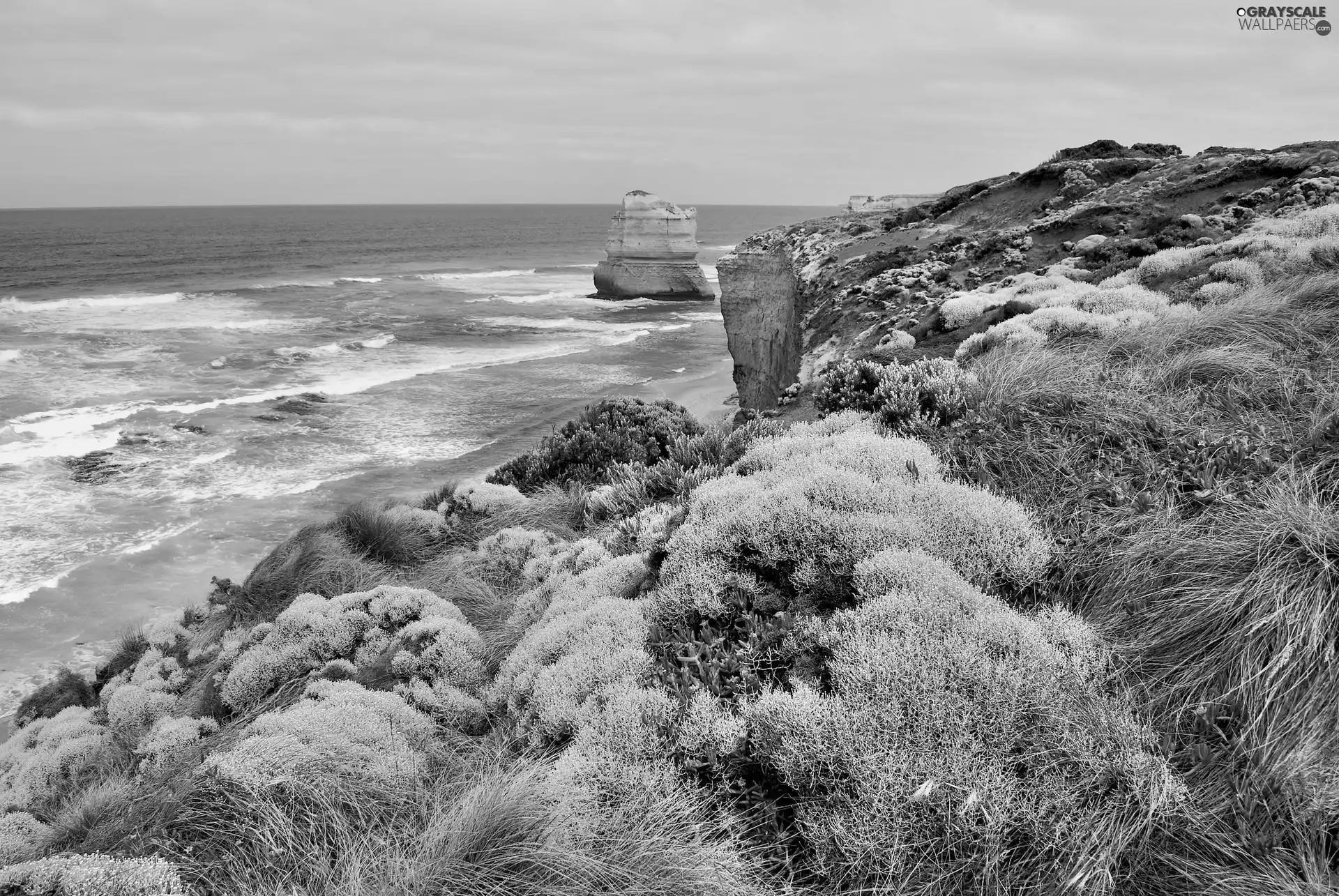 sea, seaside, VEGETATION, cliff