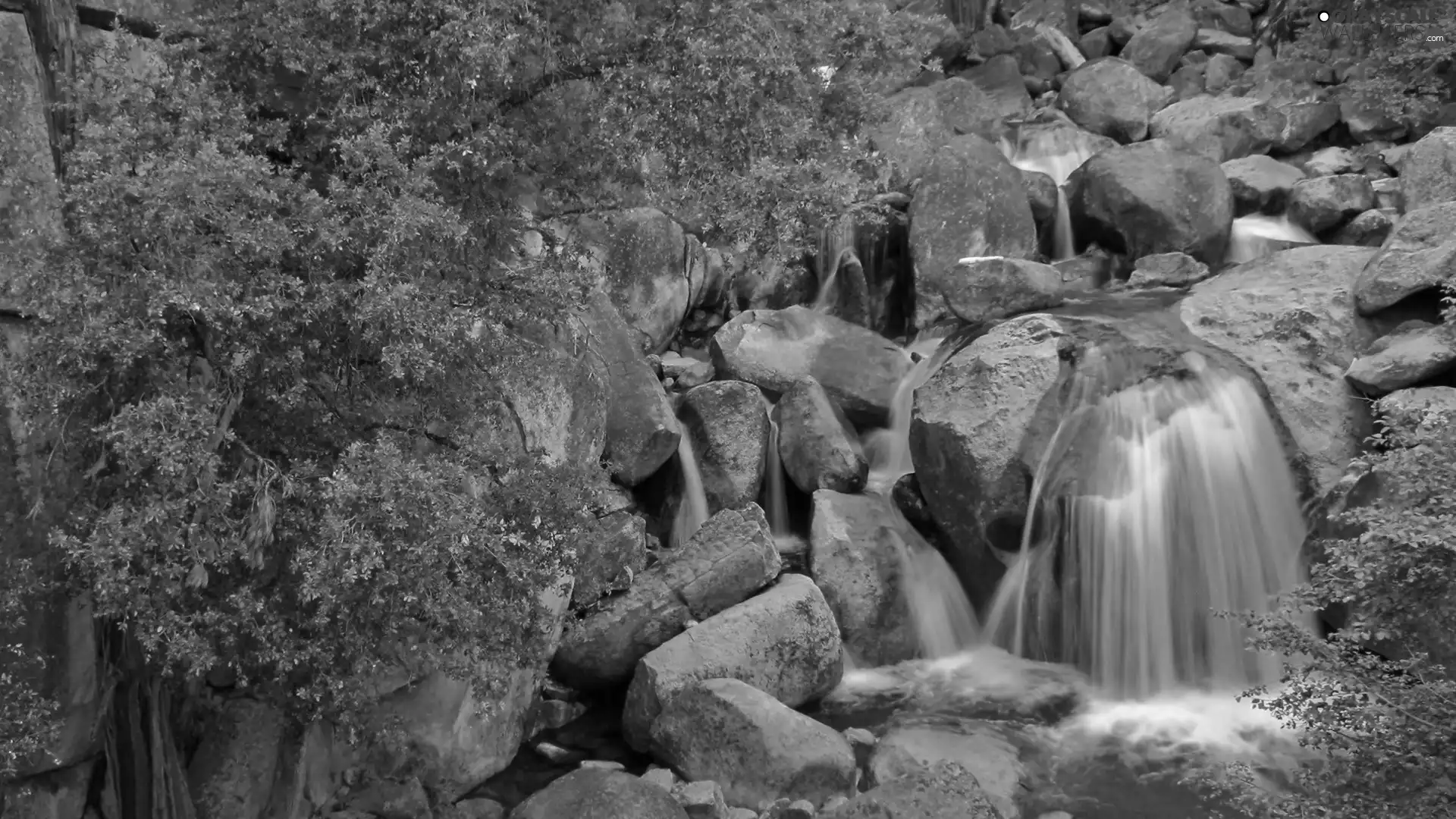 VEGETATION, waterfall, Stones