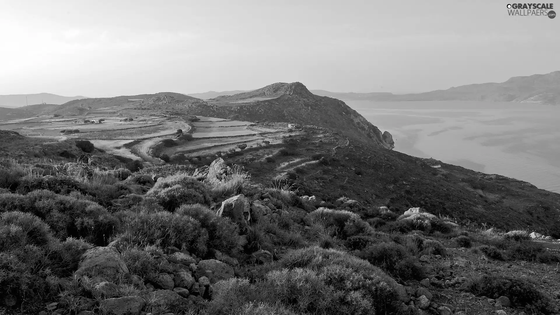 Mountains, The poor, VEGETATION