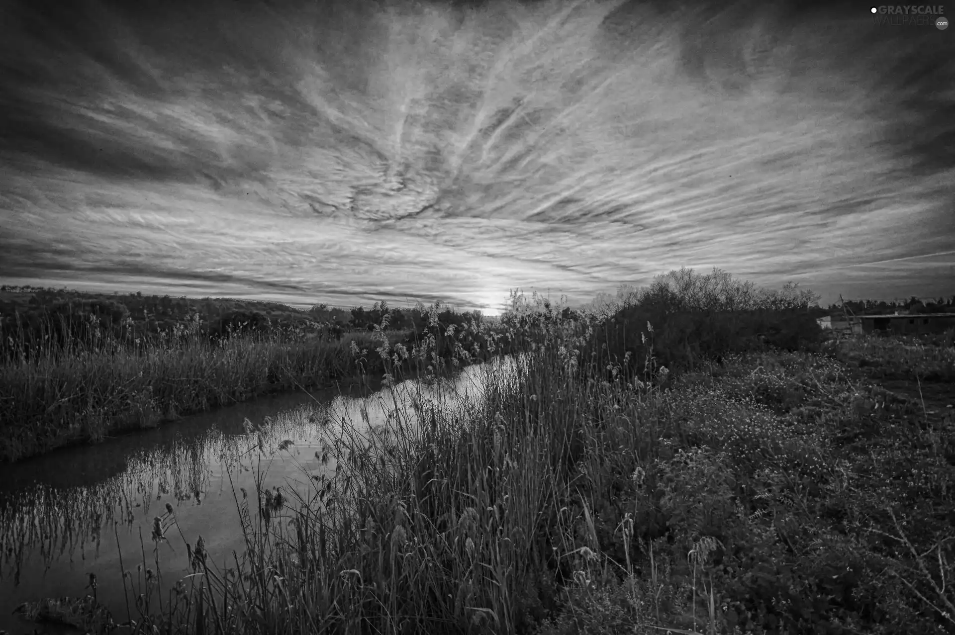 west, brook, VEGETATION, sun