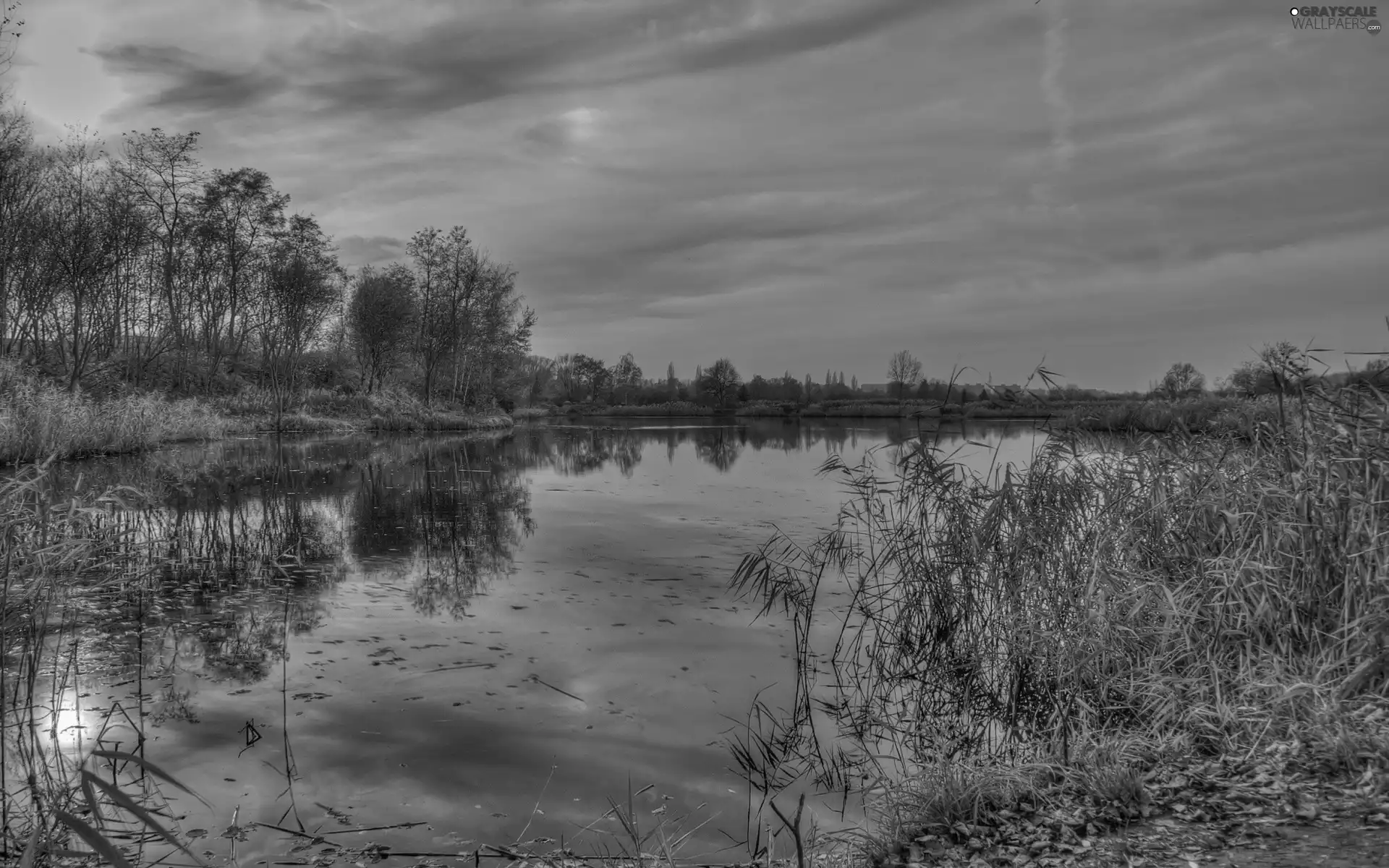 west, lake, VEGETATION, sun