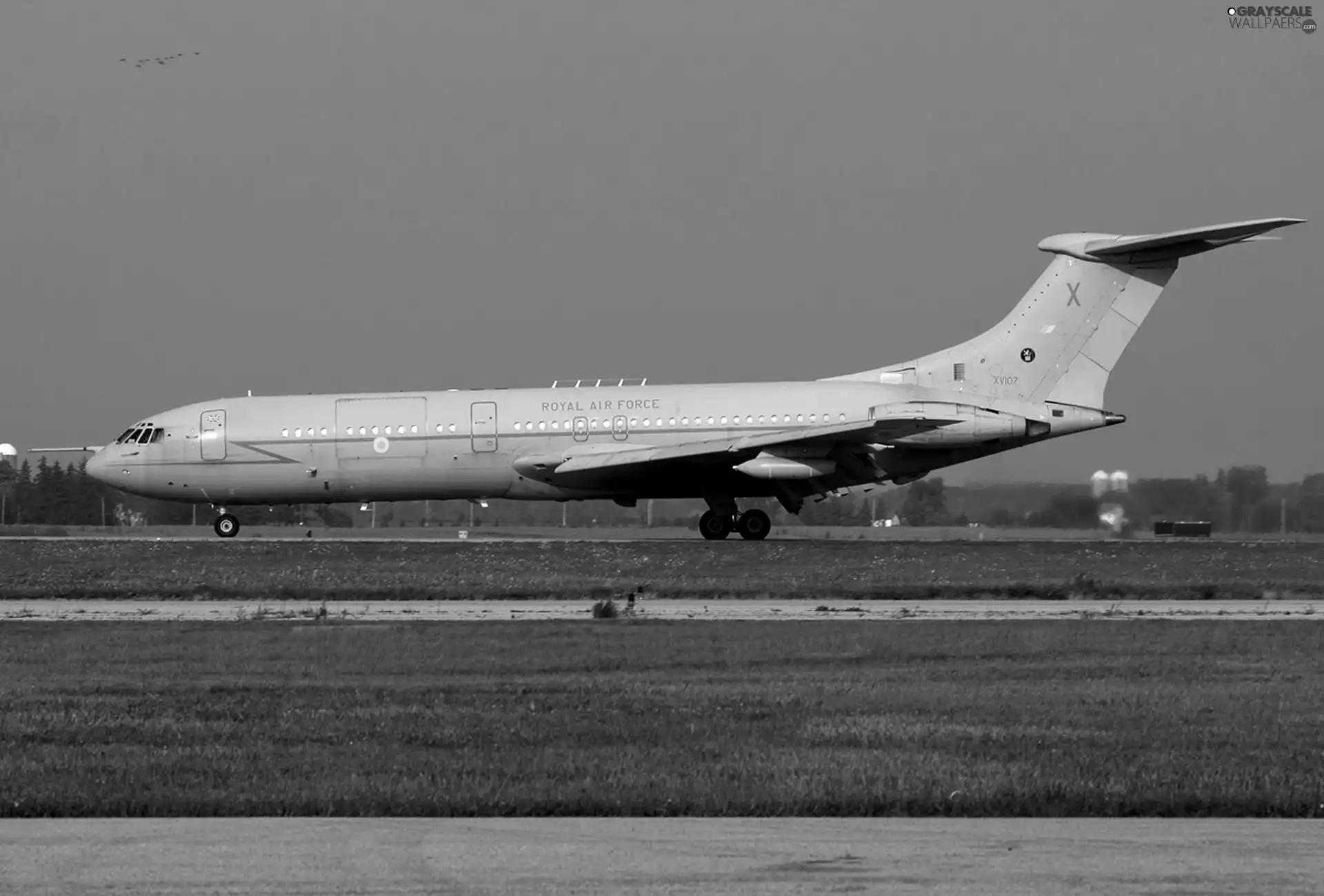 Vickers VC10, Tanker