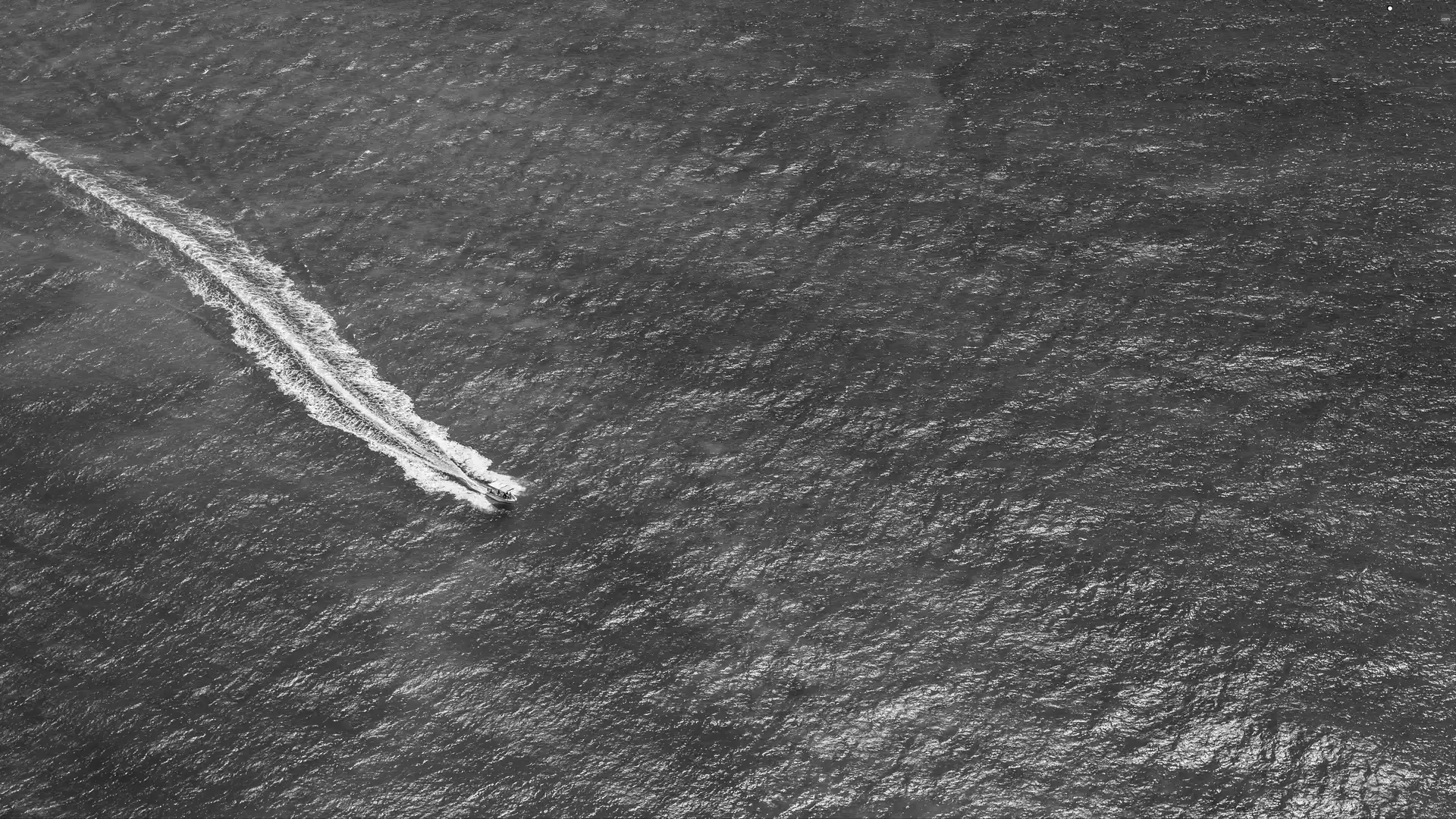 Aerial View, Motor boat, sea