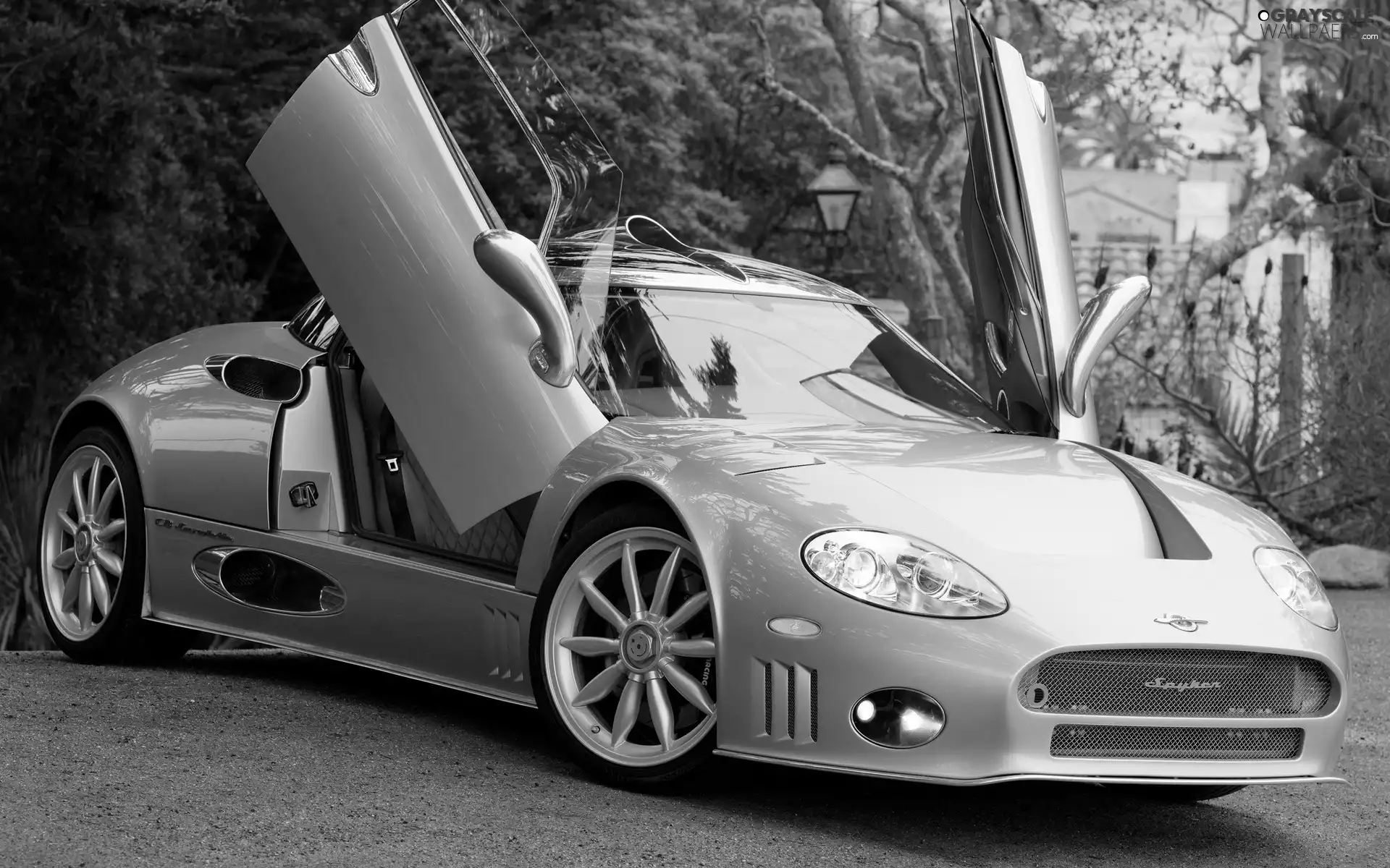 Spyker C8 Aileron, trees, viewes, square