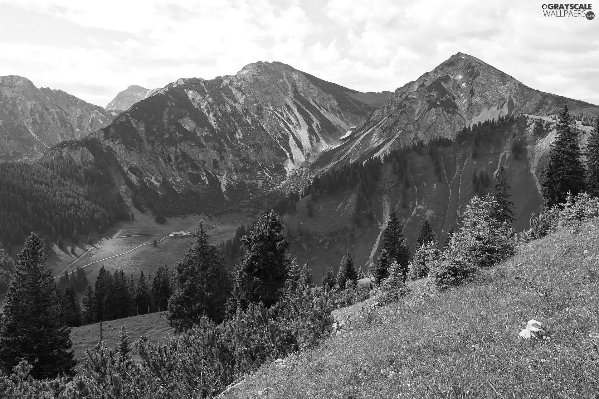 house, Mountains, trees, viewes, Valley, Alps