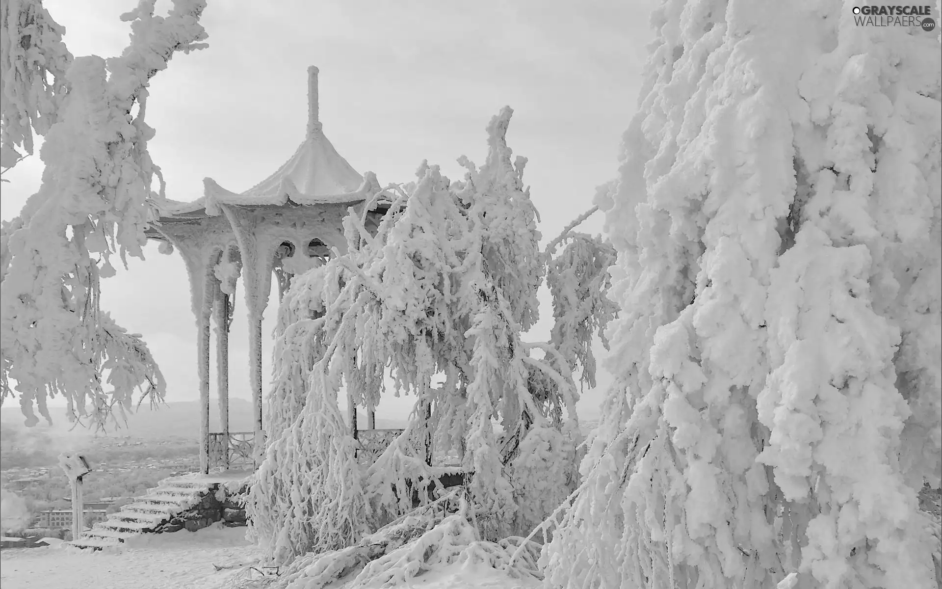 trees, snow, Spruces, Snowy, winter, viewes, arbour