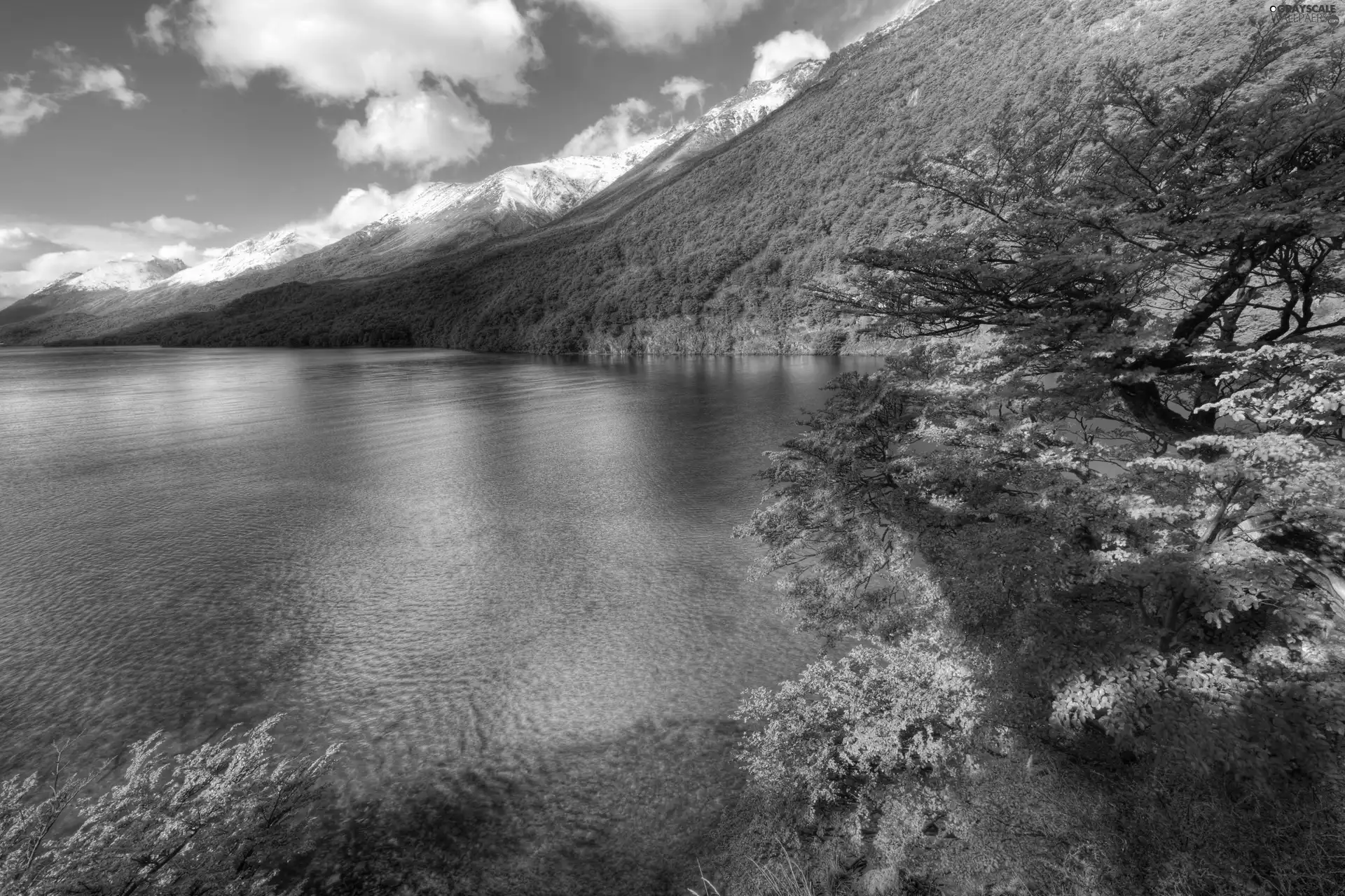 viewes, Argentina, Mountains, trees, lake