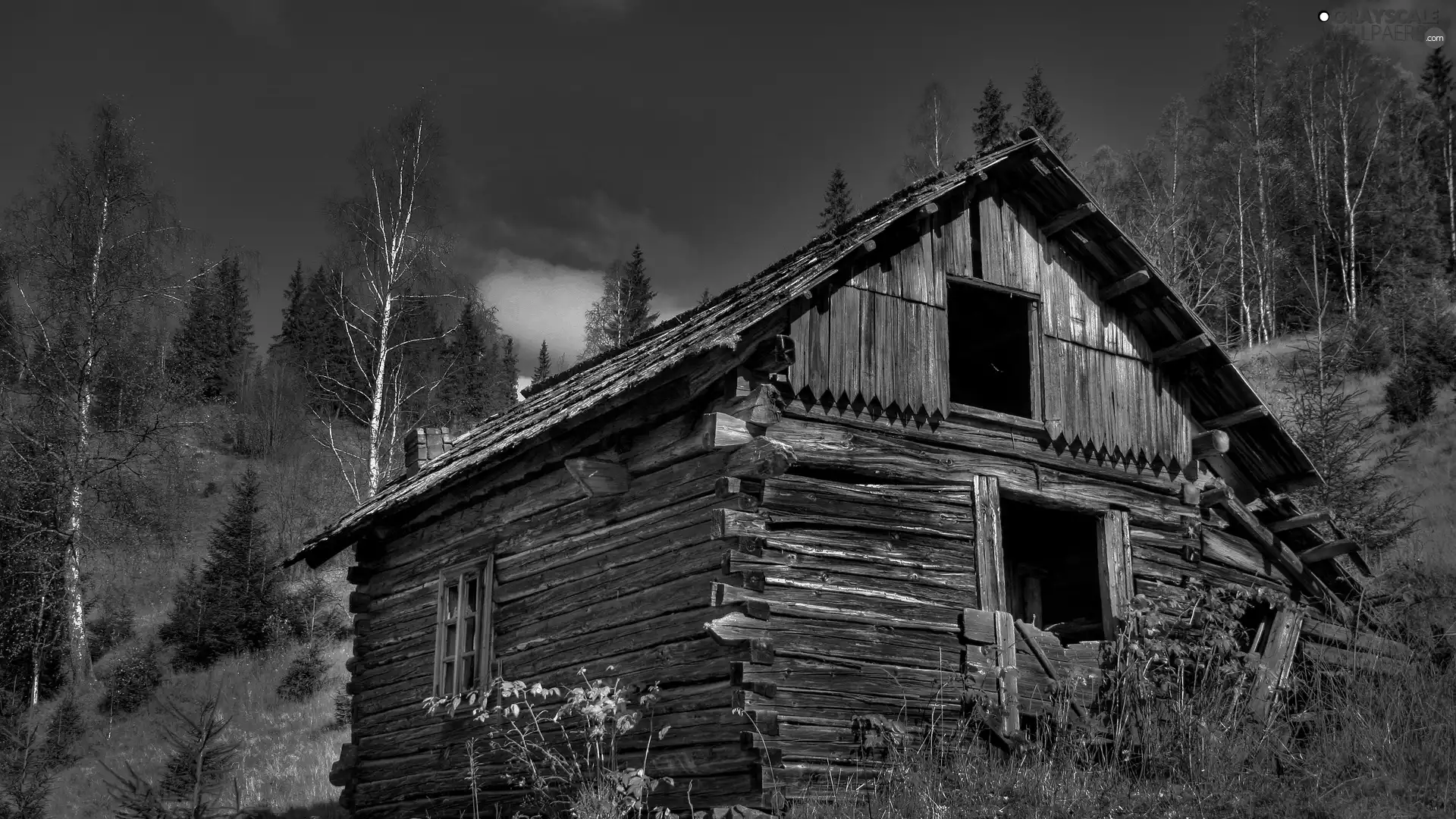 viewes, Ascension, Shanty, trees, house