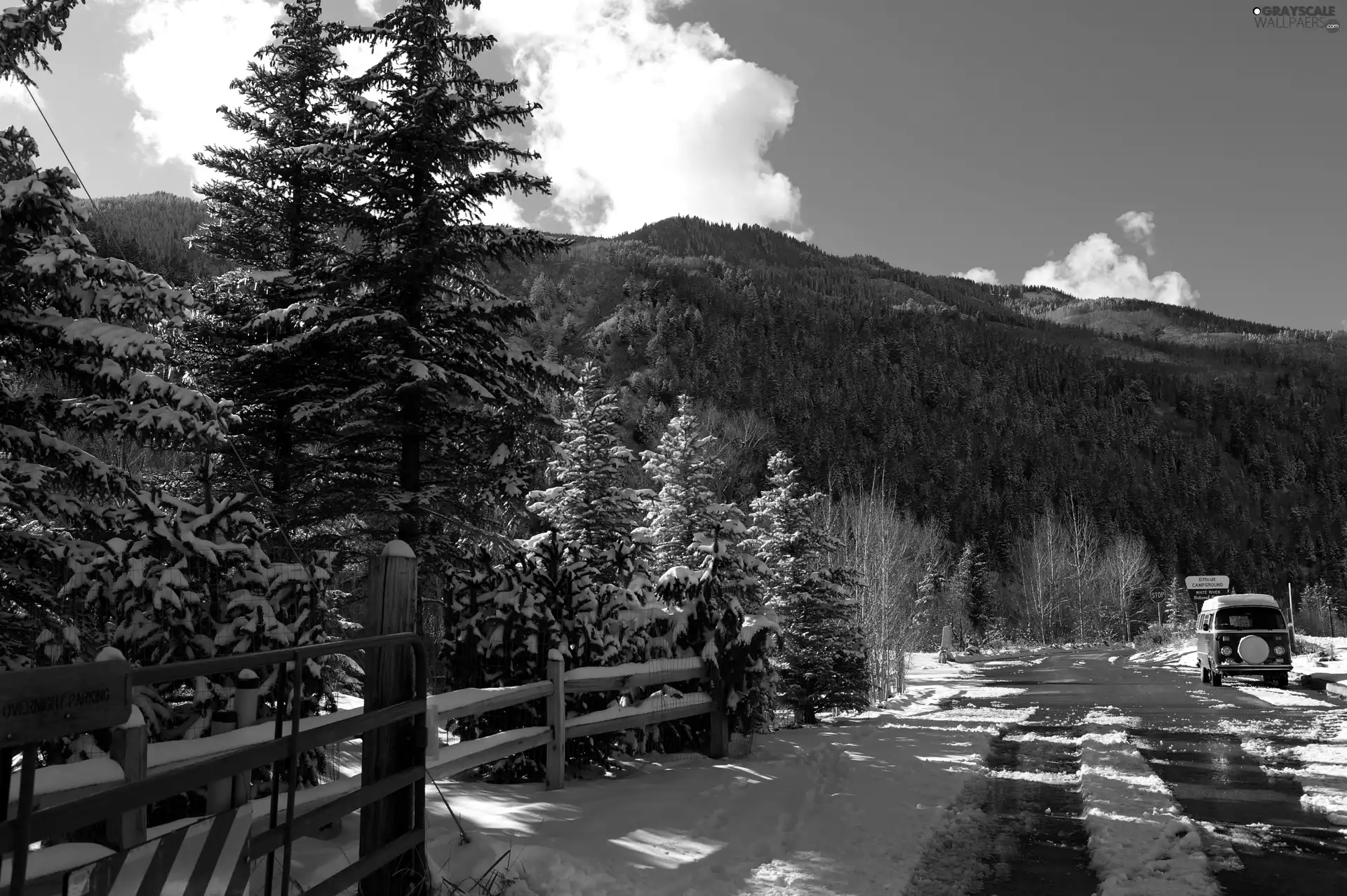 trees, Way, Hurdle, Mountains, winter, viewes, Automobile