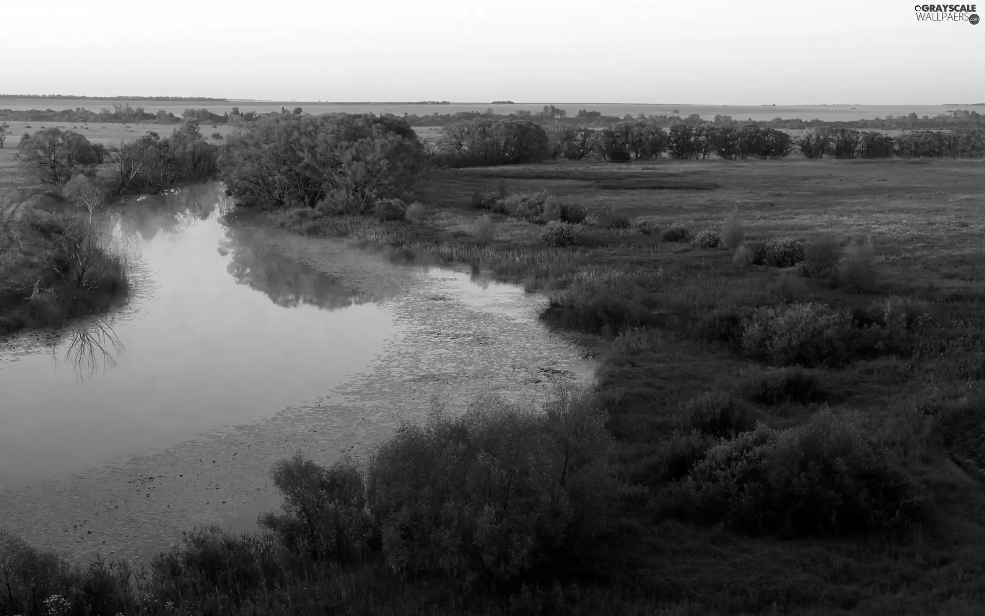 trees, medows, panorama, field, River, viewes, autumn