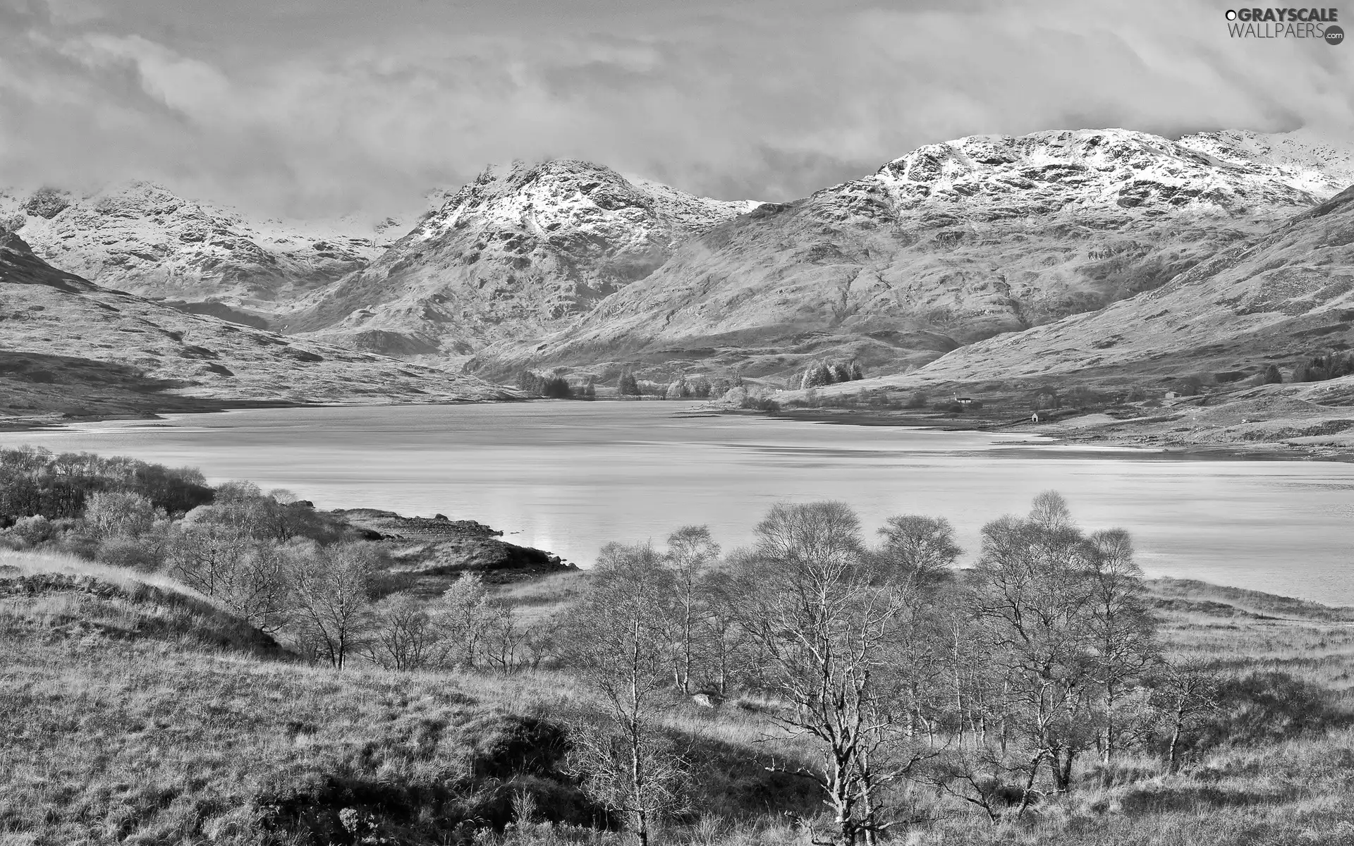 trees, Mountains, Scotland, medows, lake, viewes, autumn