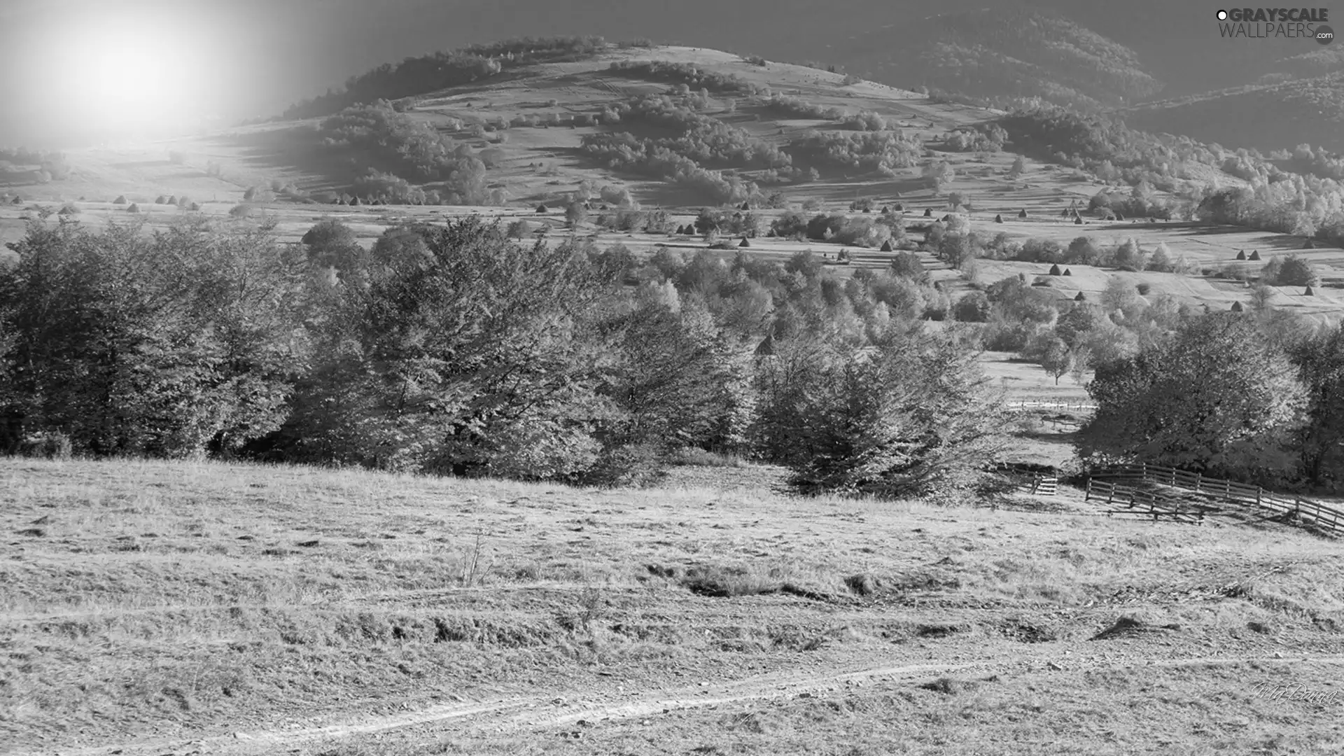 viewes, autumn, field, trees, Mountains