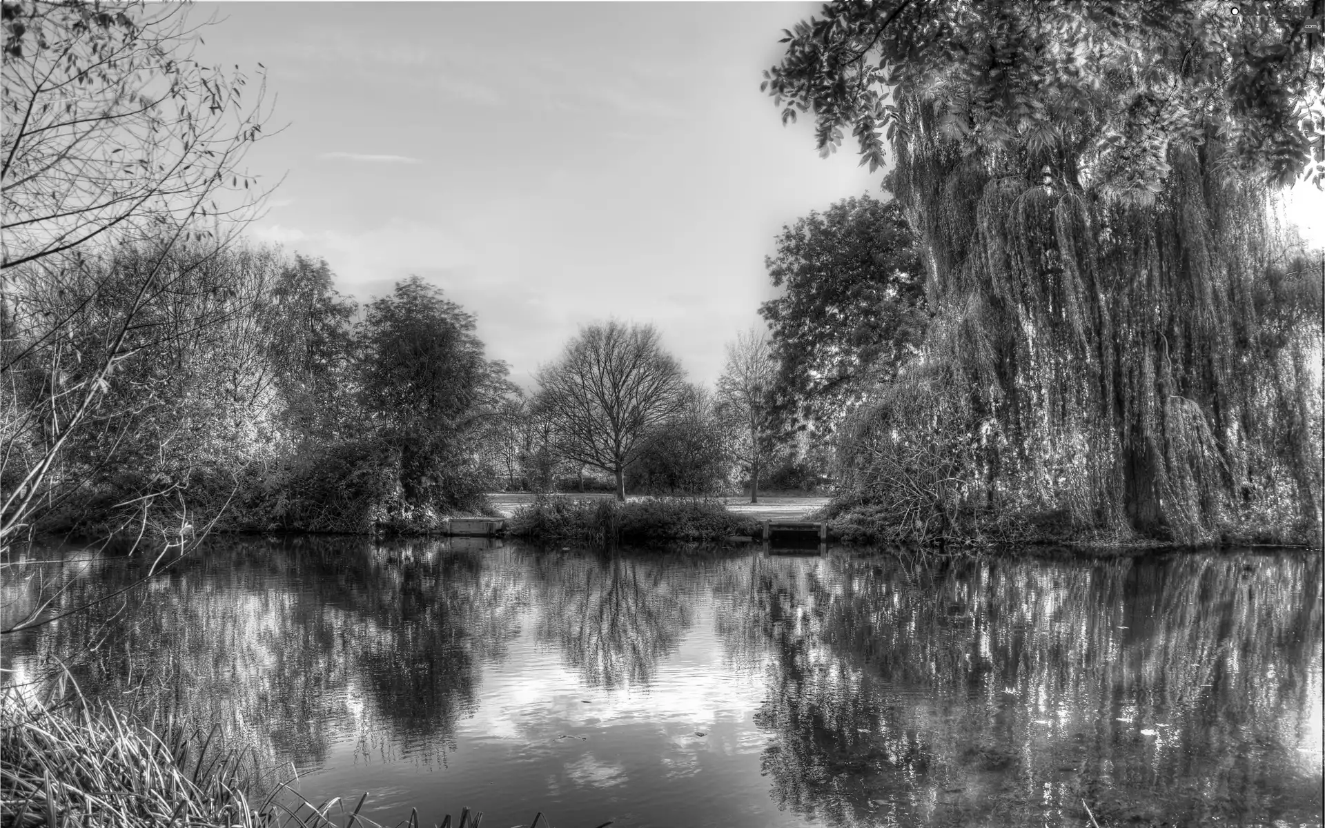 viewes, autumn, Park, trees, Pond - car