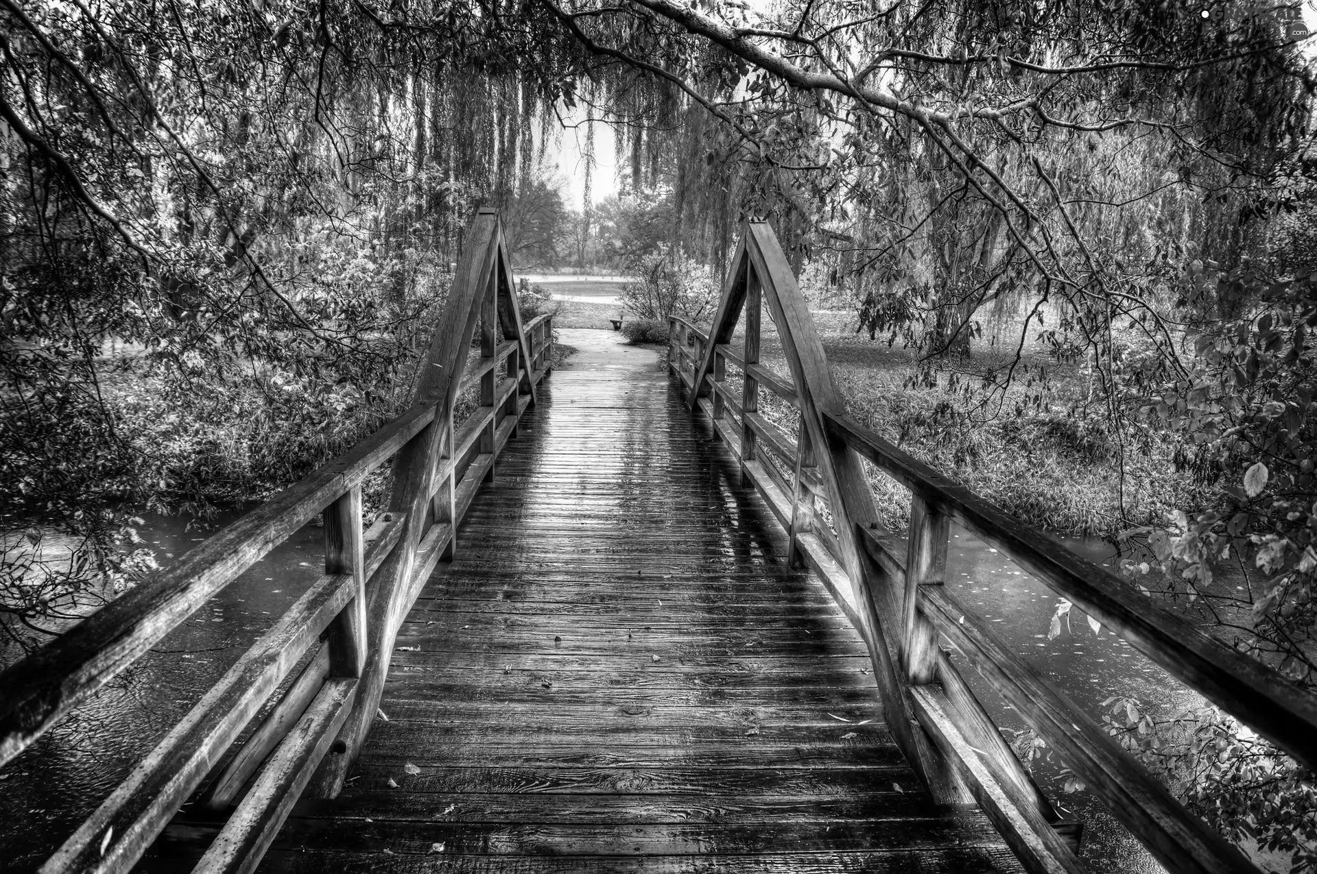 viewes, autumn, bridge, trees, River