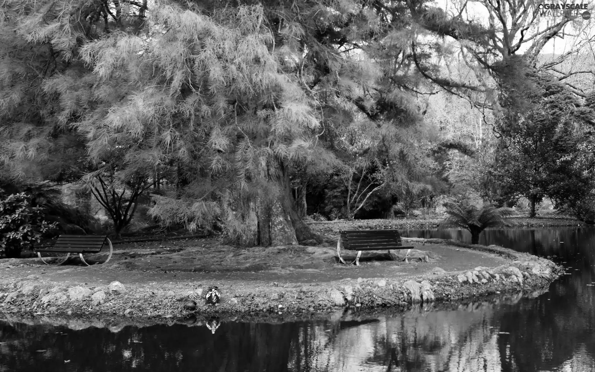 bench, Park, viewes, autumn, trees, River