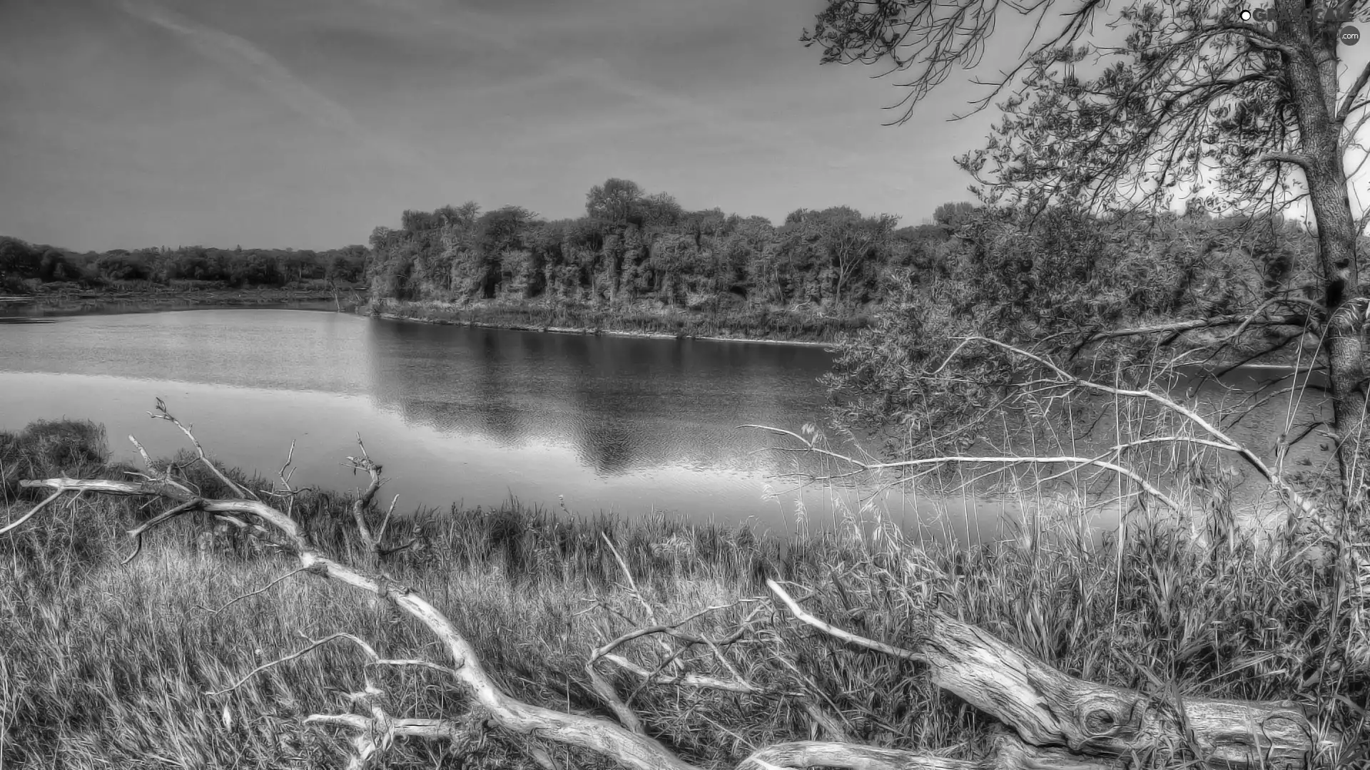 autumn, trees, viewes, River