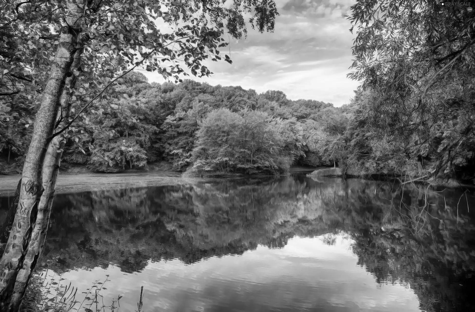 autumn, trees, viewes, River