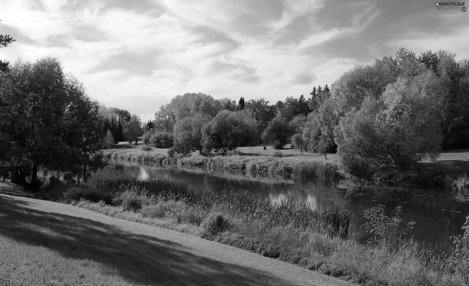 color, River, viewes, autumn, trees, Park