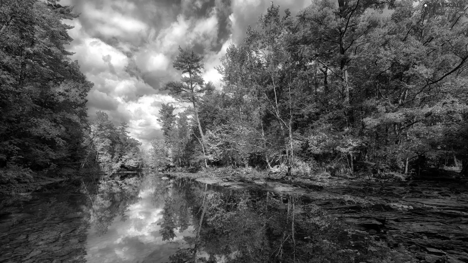 autumn, trees, viewes, River