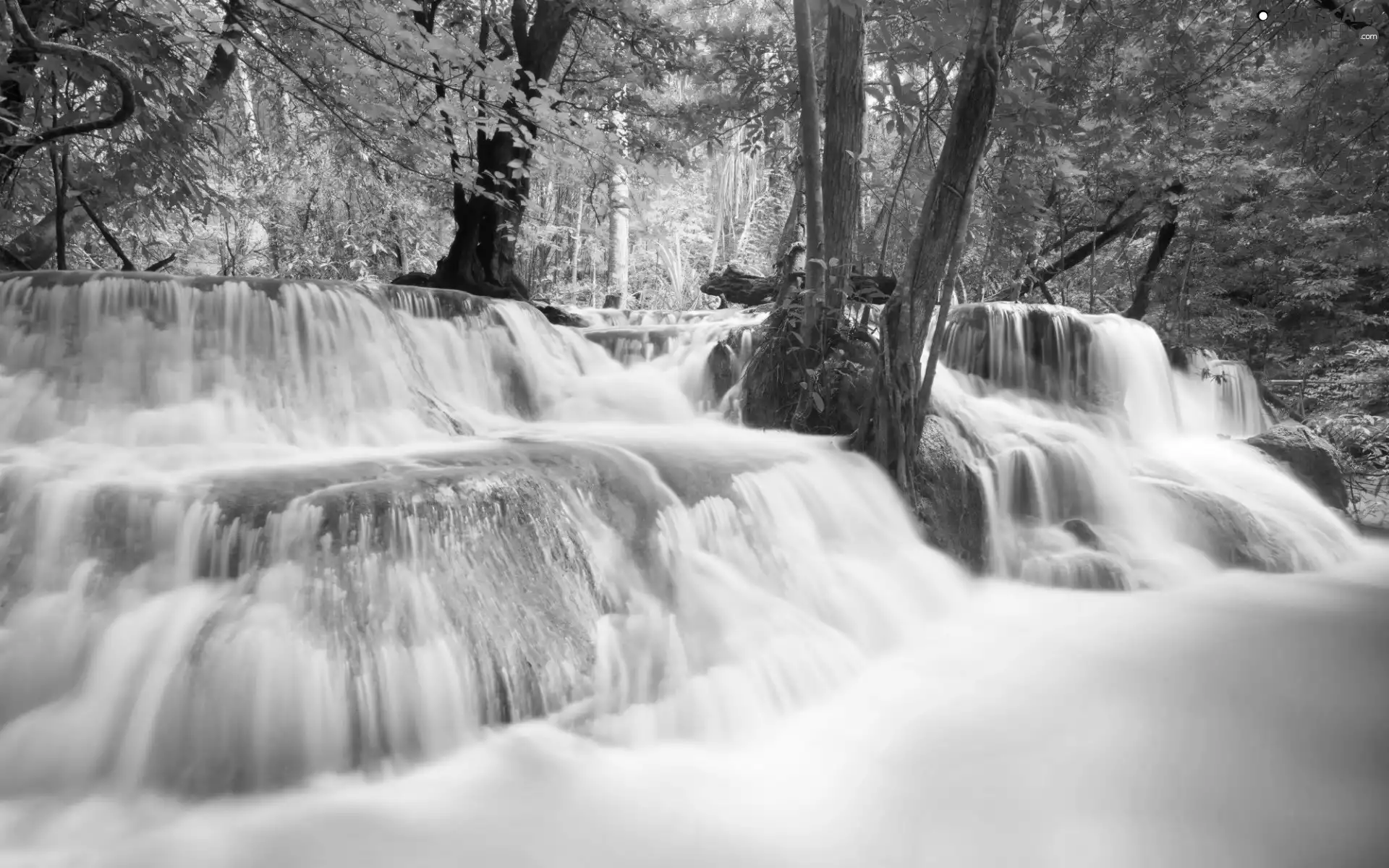 color, waterfall, viewes, autumn, trees, forest