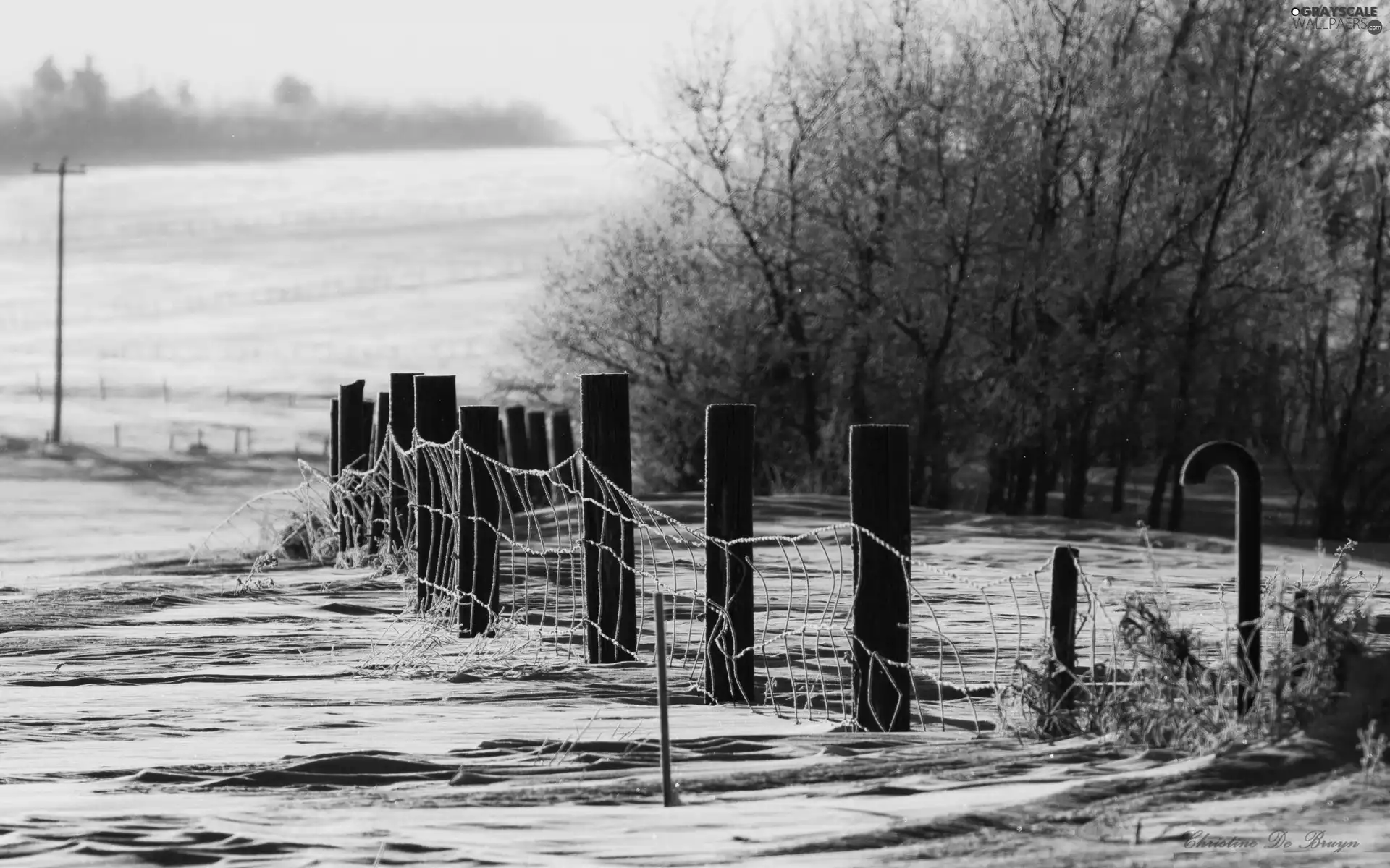 viewes, bars, field, trees, Winter