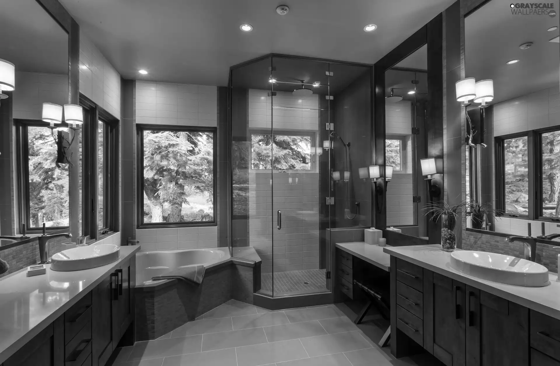 Bathroom, trees, viewes, Windows