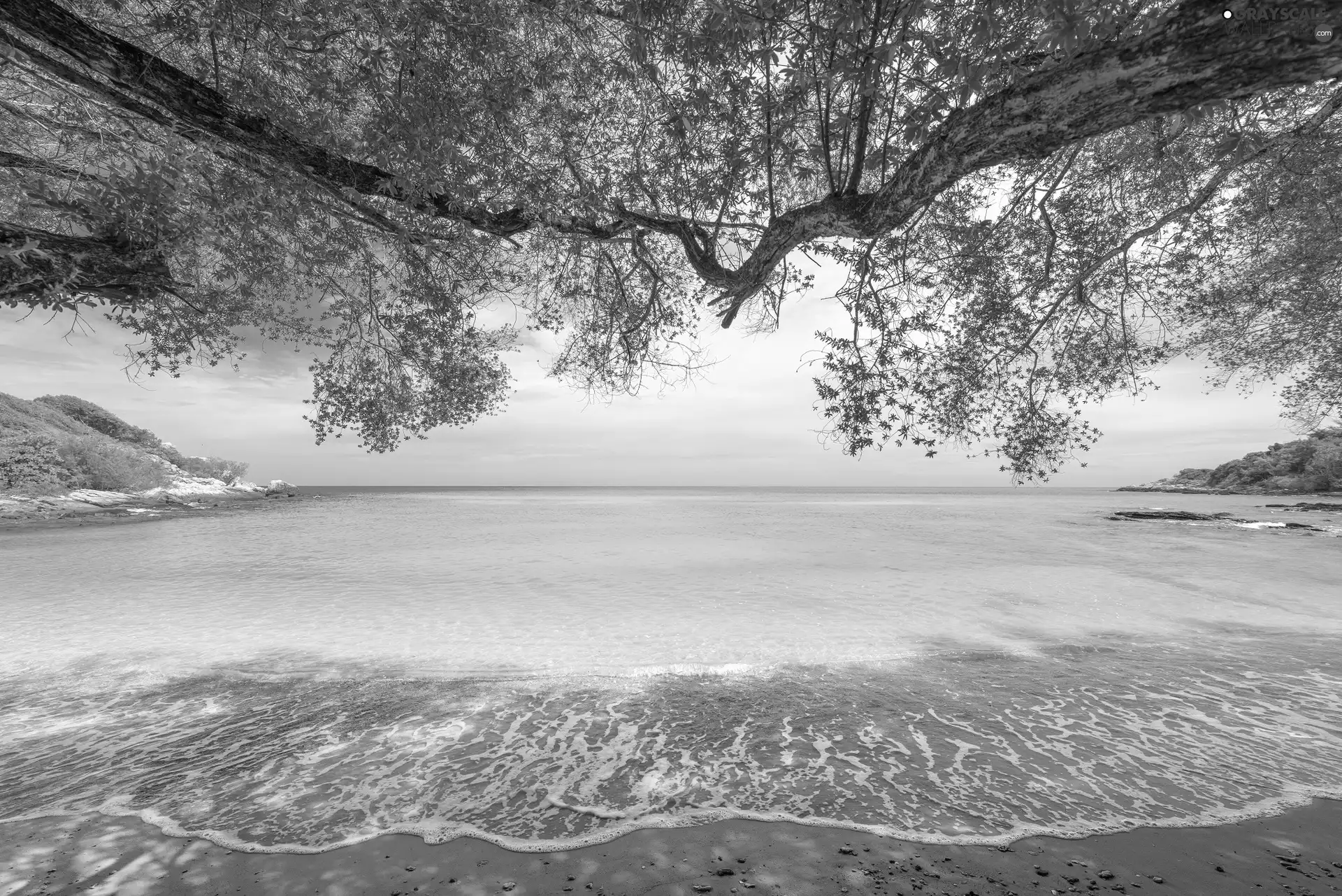 trees, viewes, Beaches, Sand, sea