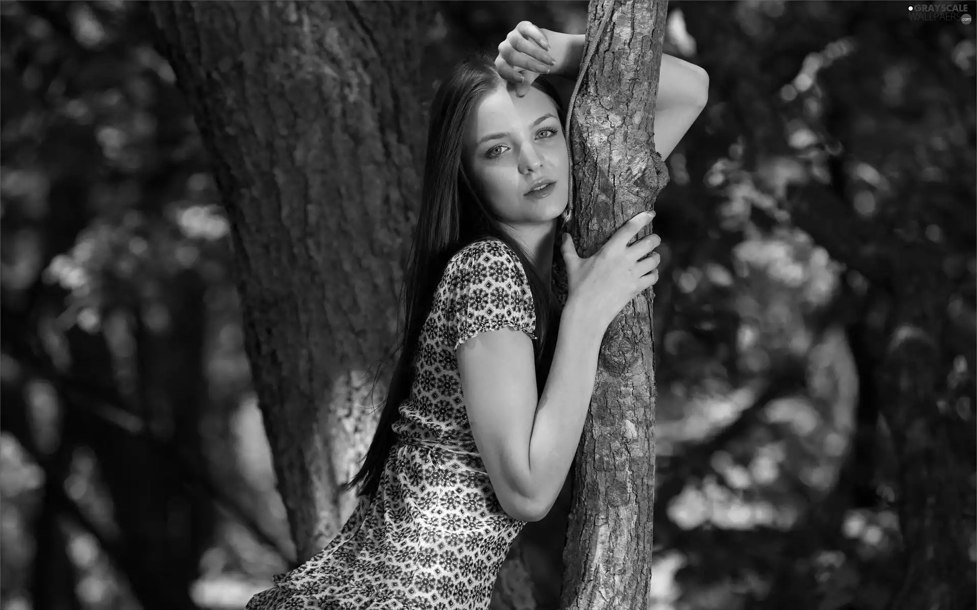 Beauty, trees, viewes, Women