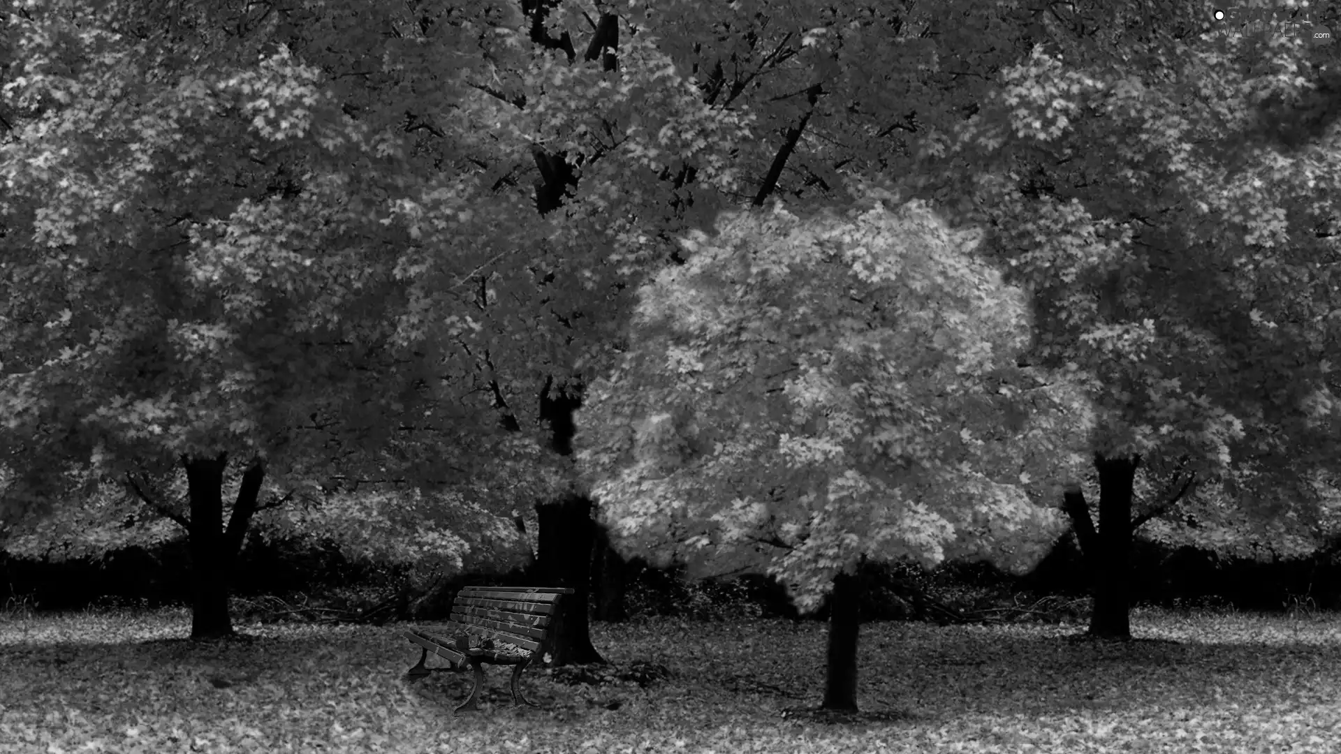 viewes, Bench, Red, trees, autumn