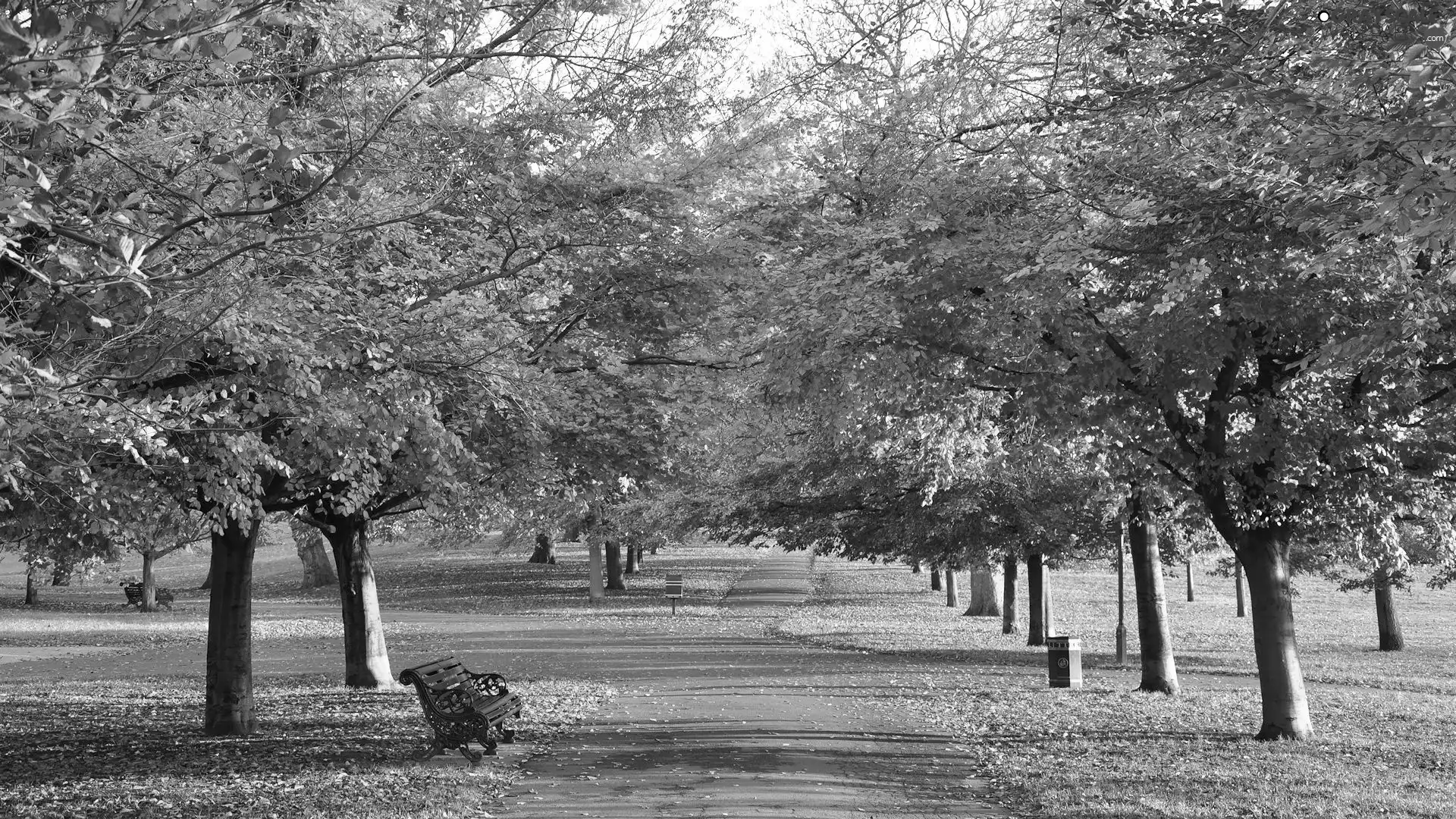 color, autumn, viewes, bench, trees, Park