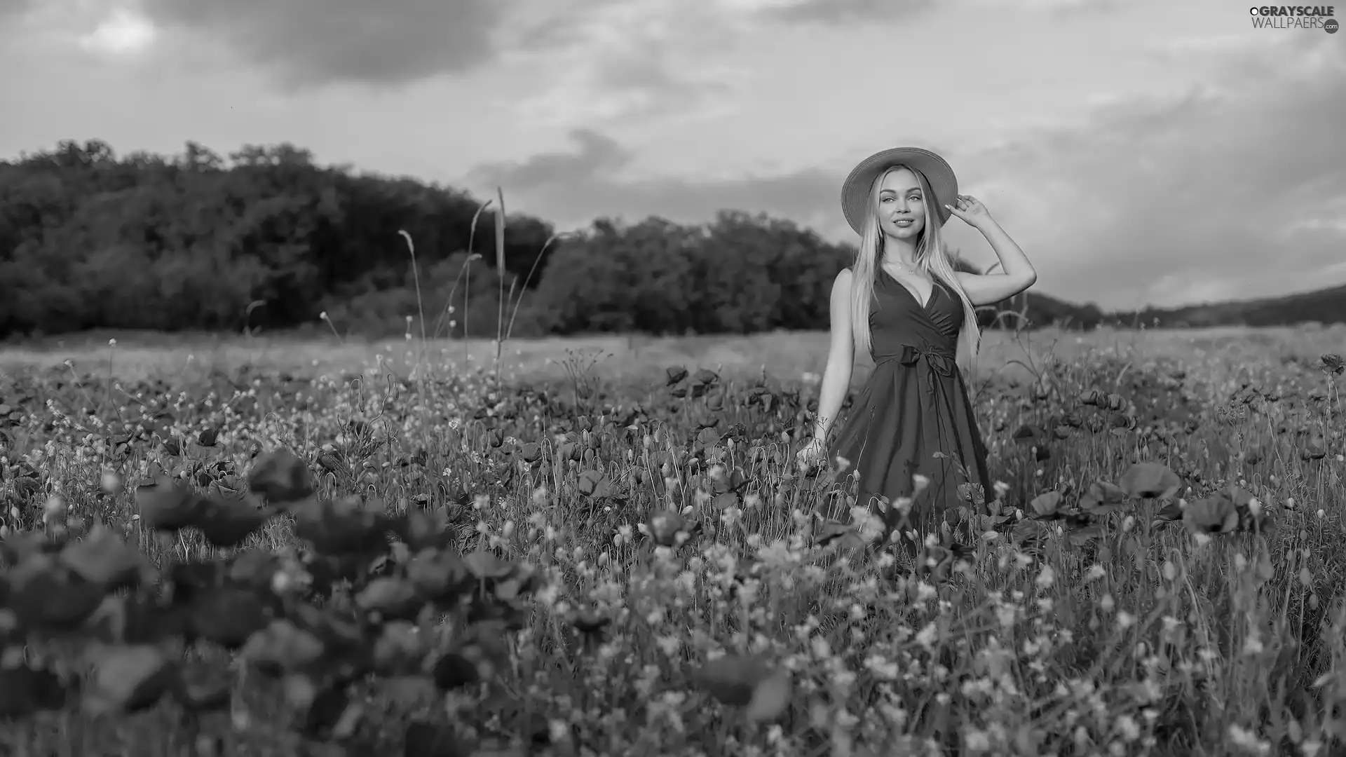 papavers, Women, trees, viewes, Field, Blonde