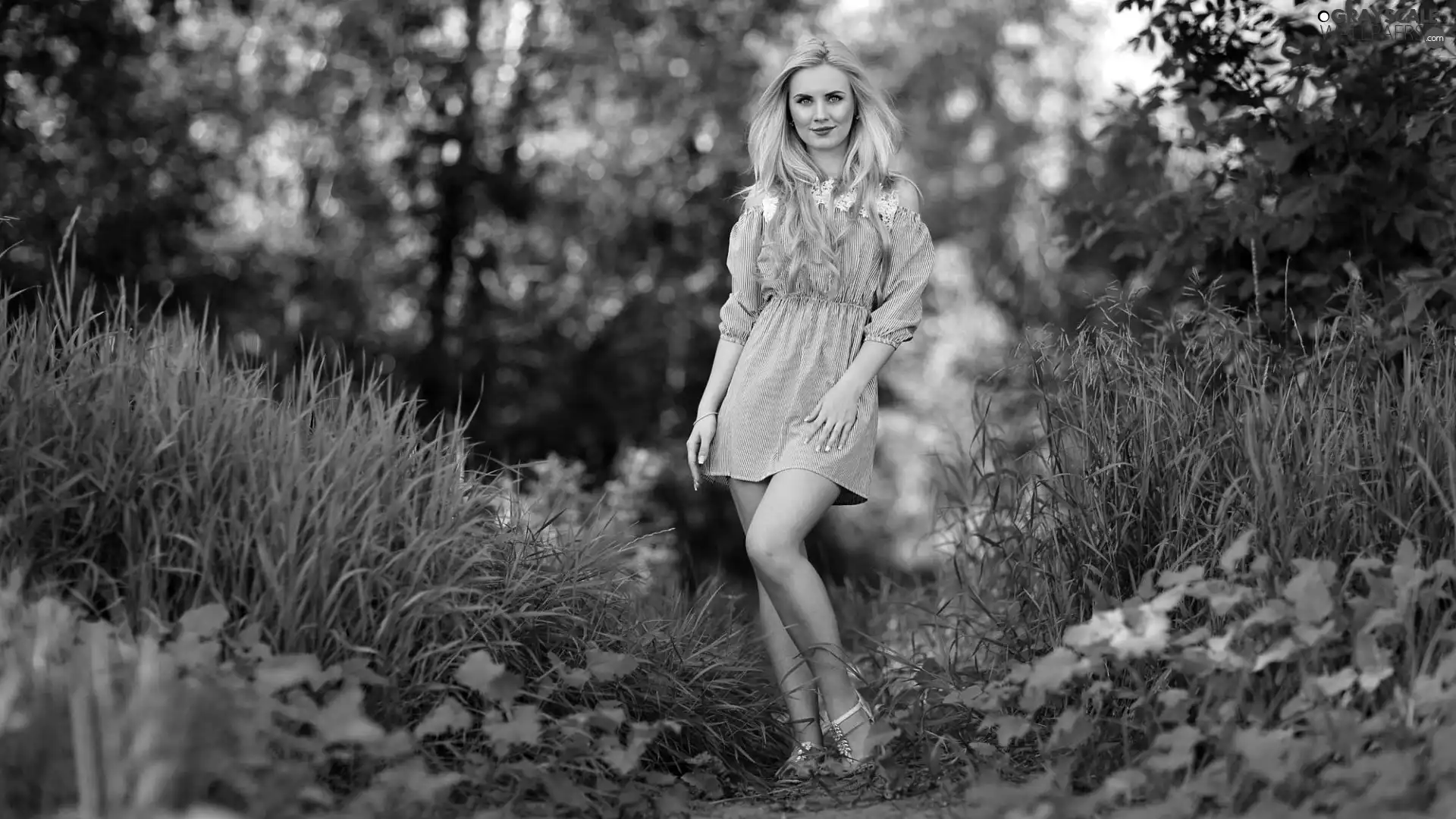 trees, viewes, Blonde, grass, Women