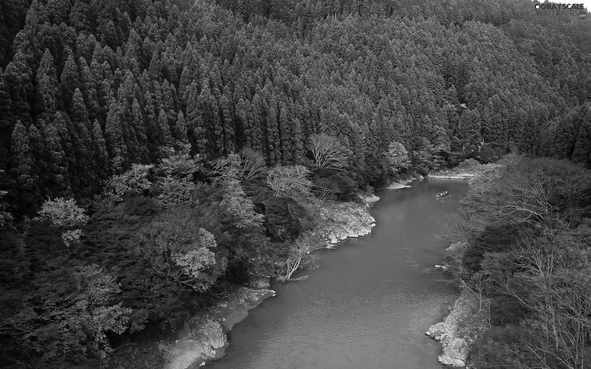 color, River, viewes, Boat, trees, woods