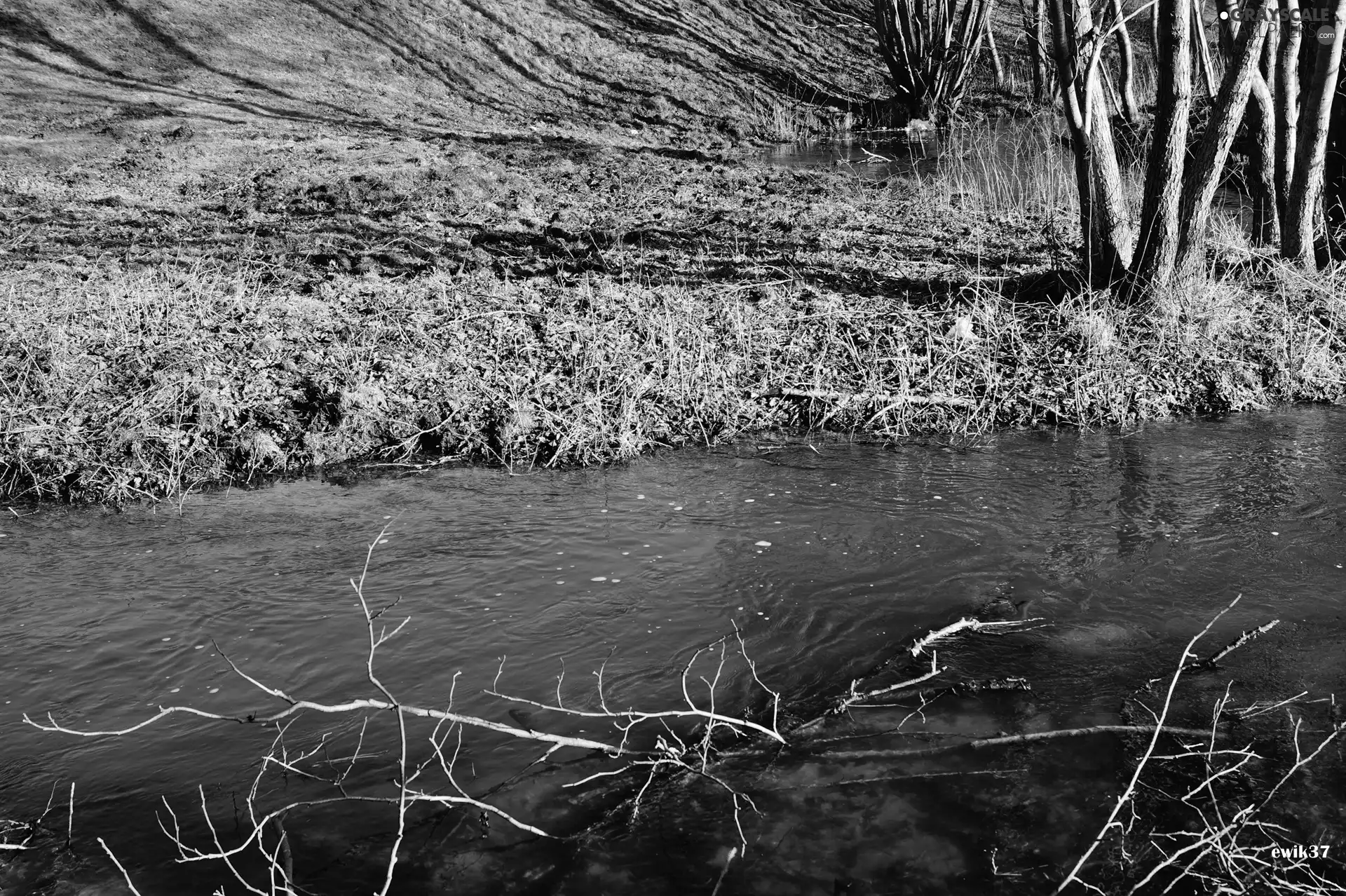 viewes, Hill, branch pics, trees, stream