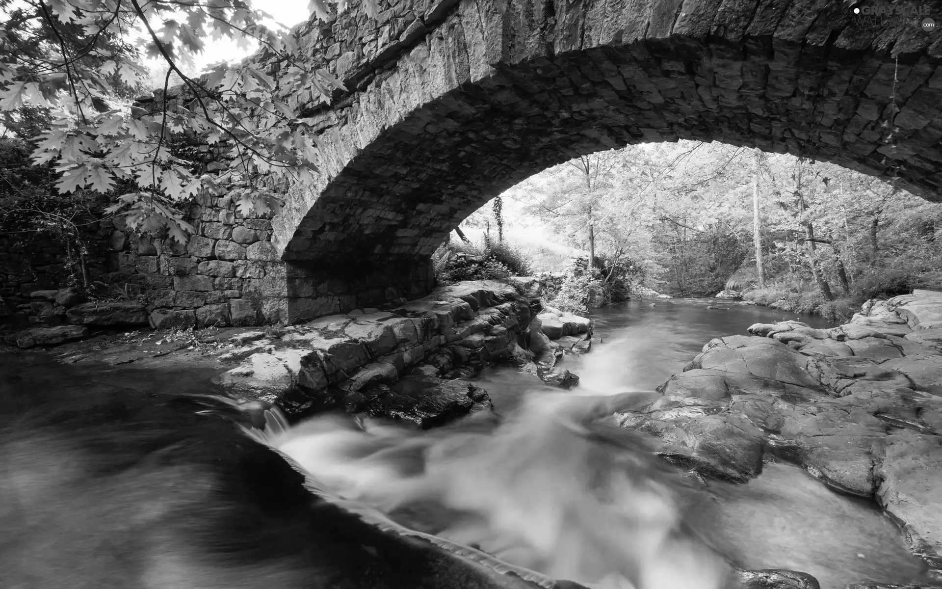 bridge, trees, viewes, River