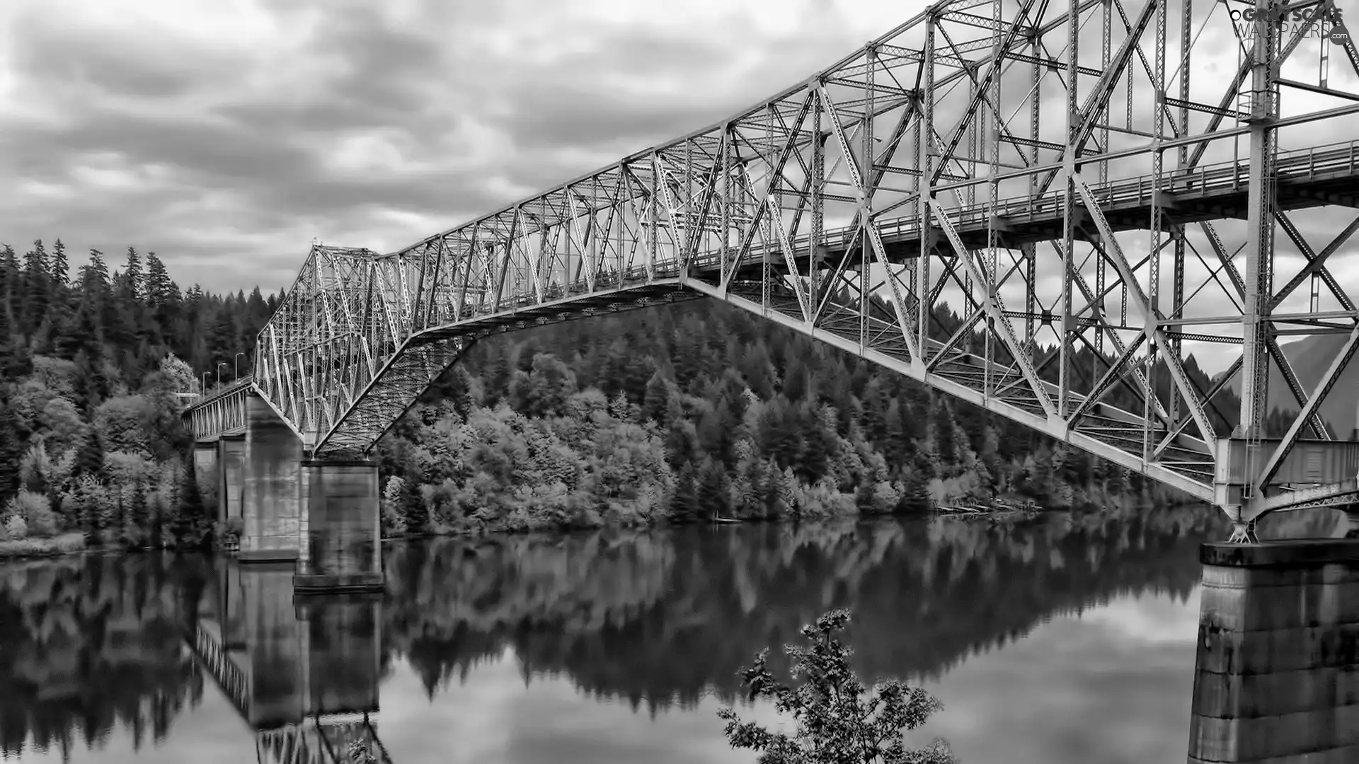 bridge, trees, viewes, River